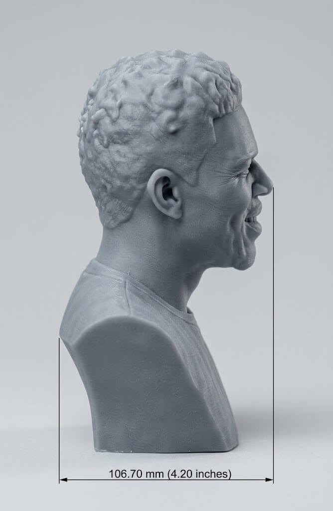 Nick Young 3D Printable Bust 3D Model