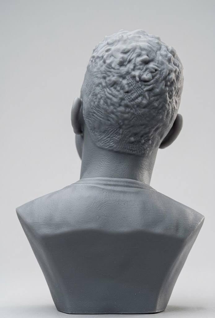 Nick Young 3D Printable Bust 3D Model