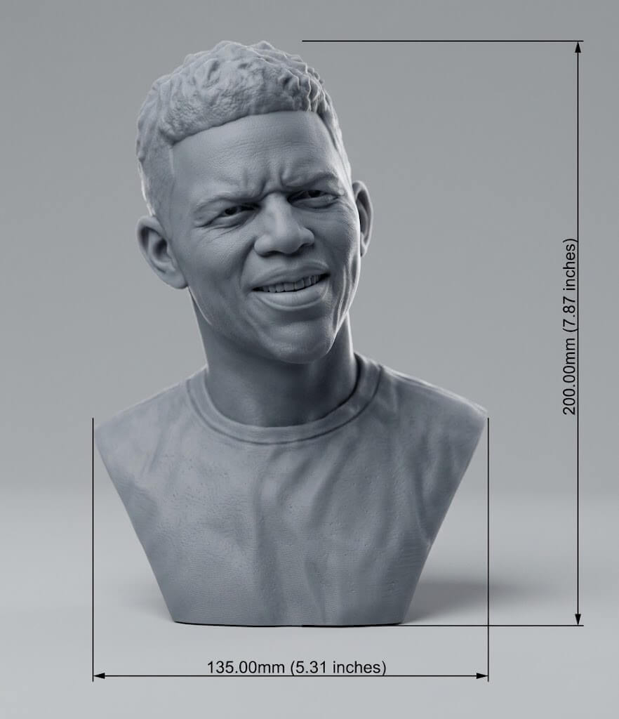 Nick Young 3D Printable Bust 3D Model