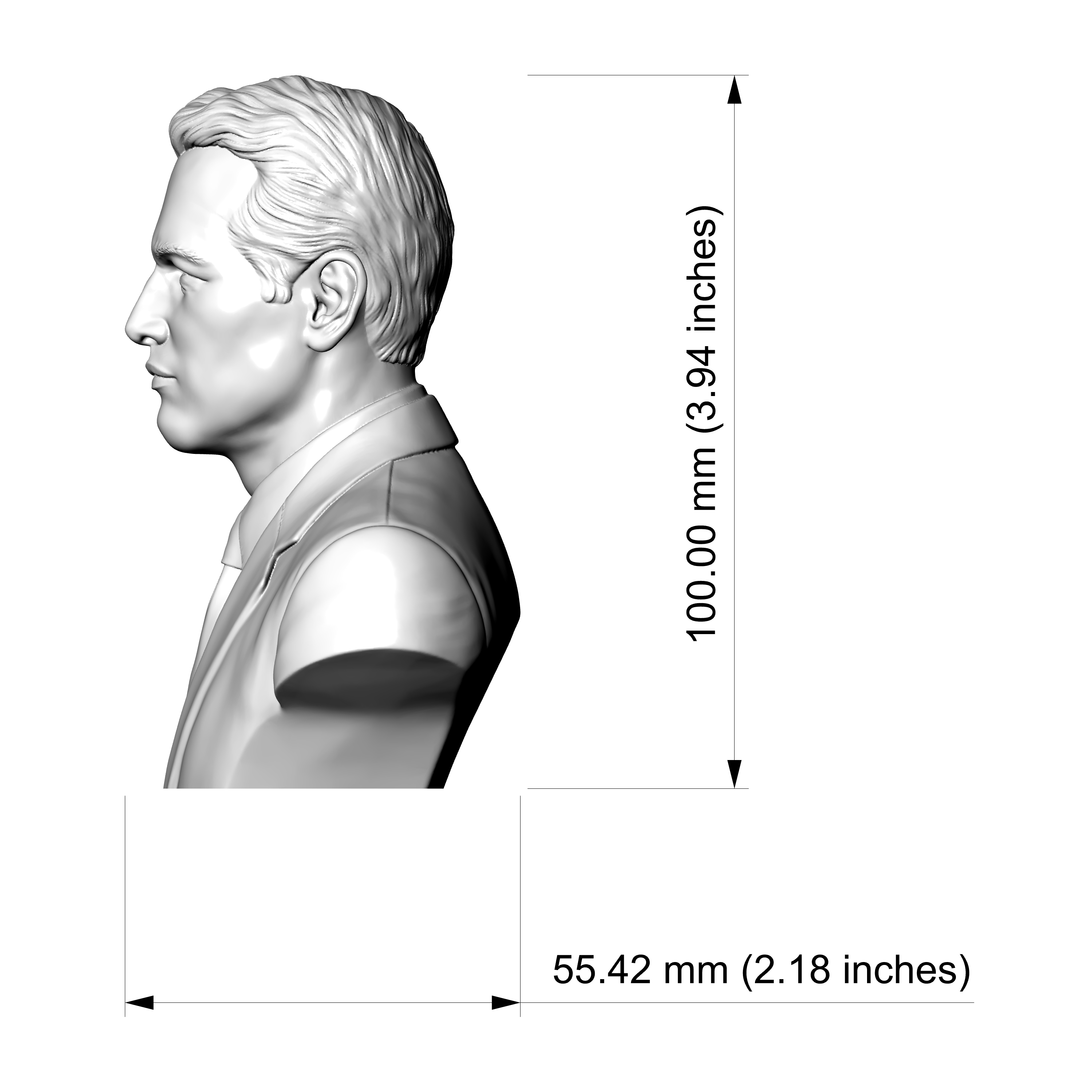 Paul Newman 3D Printable Bust 3D Model