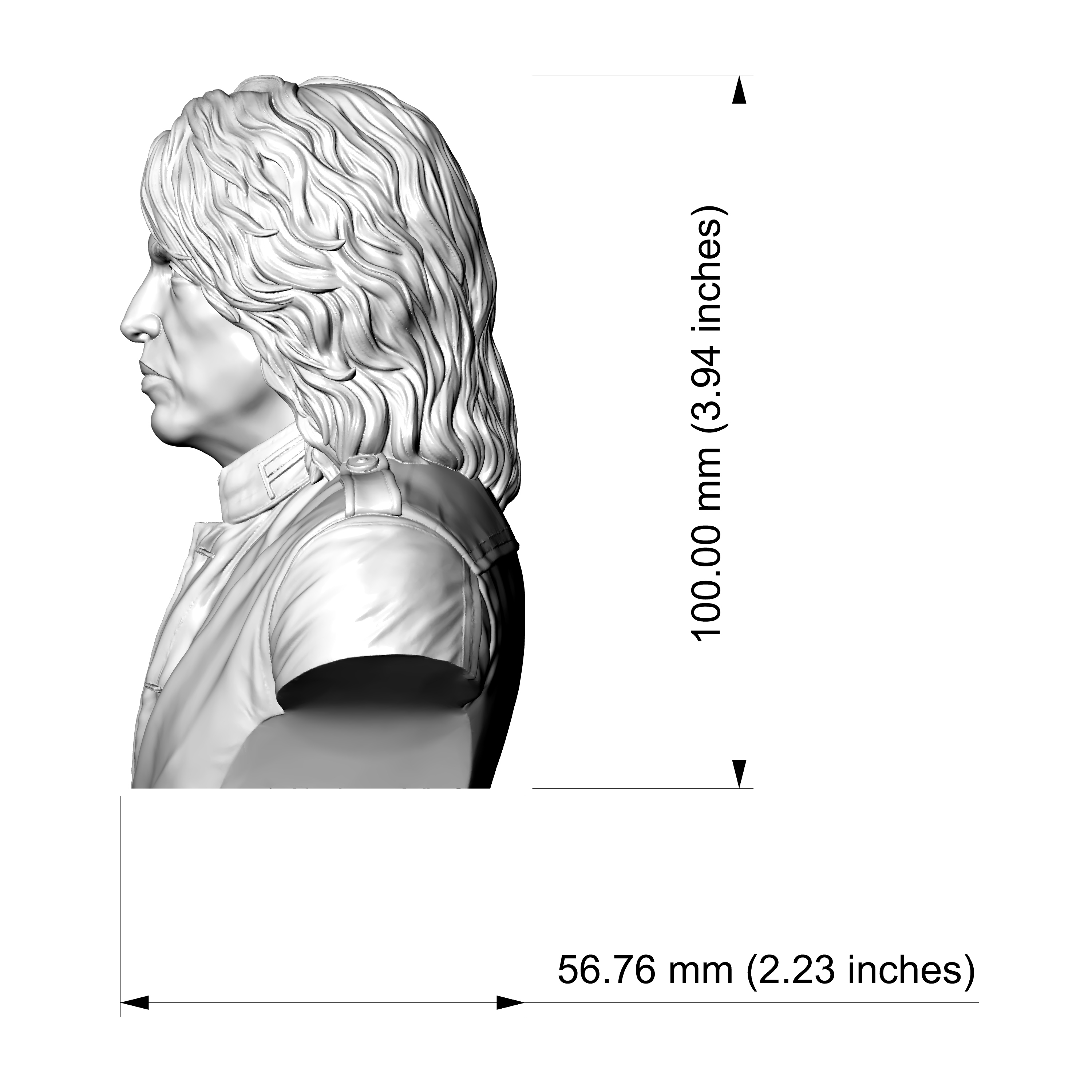 Paul Stanley 3D Printable Bust 3D Model