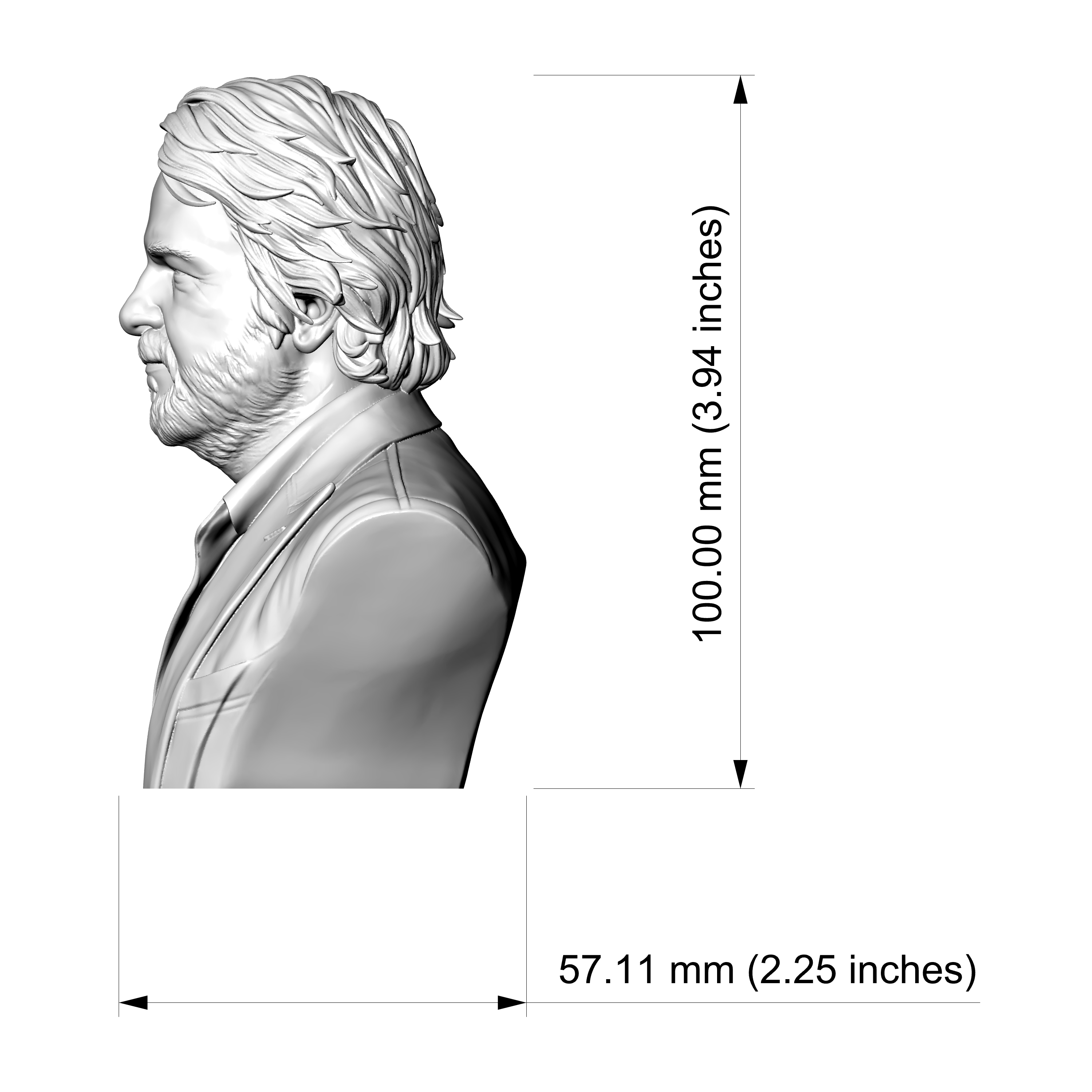 Peter Jackson Bust 3D Printable Model 3D Model