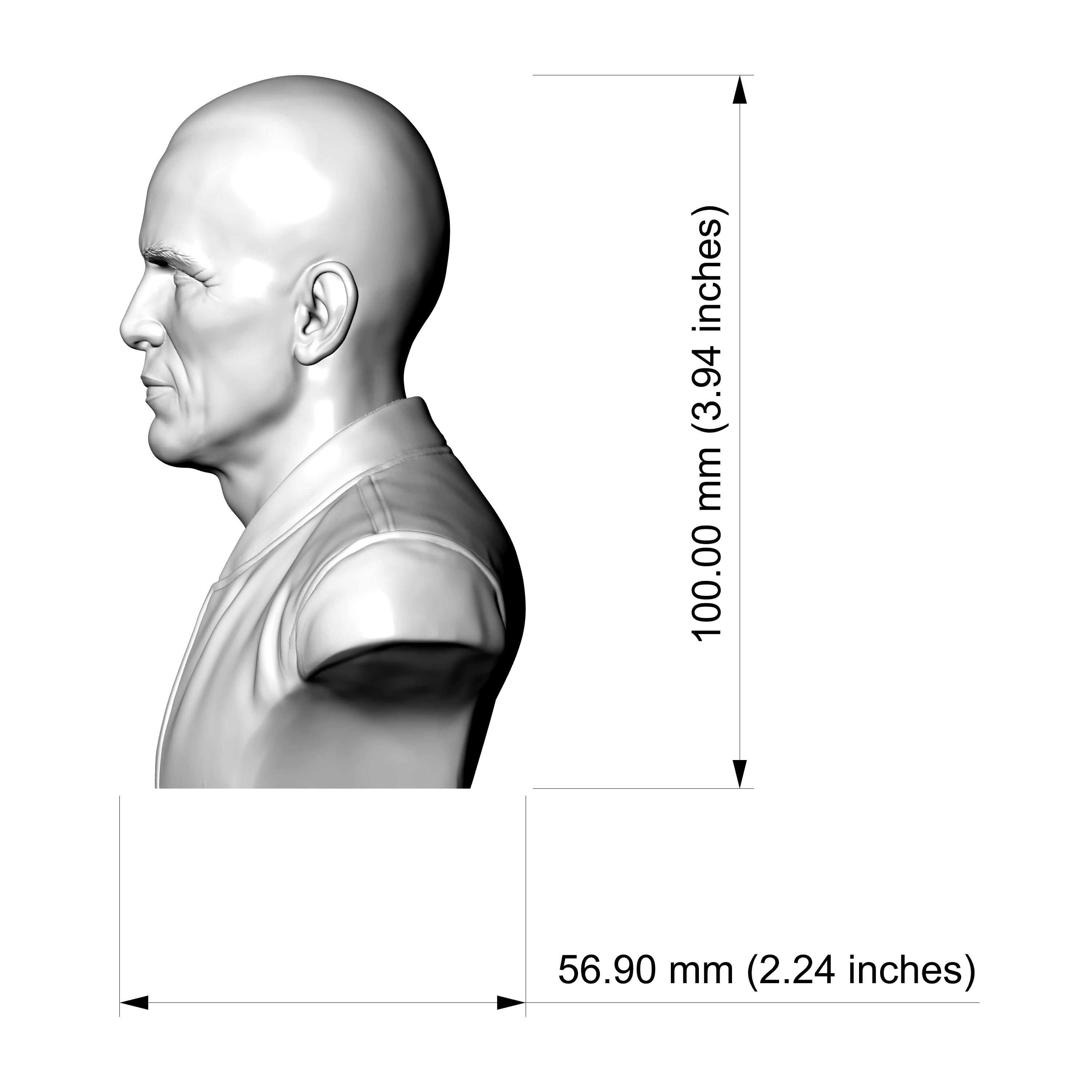 Peter Weller Bust 3D Print Model 3D Model