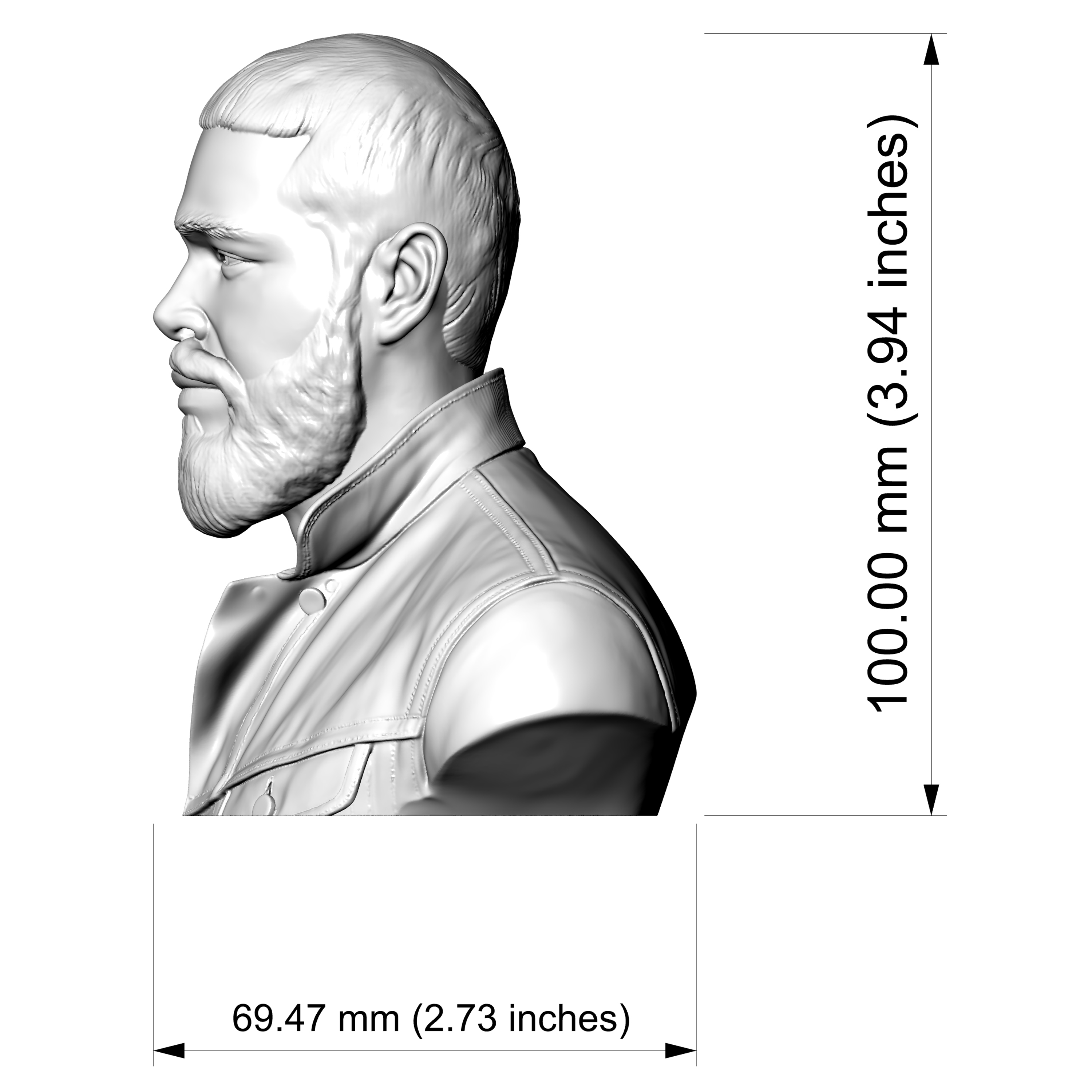 Post Malone 3D Printable Bust 3D Model