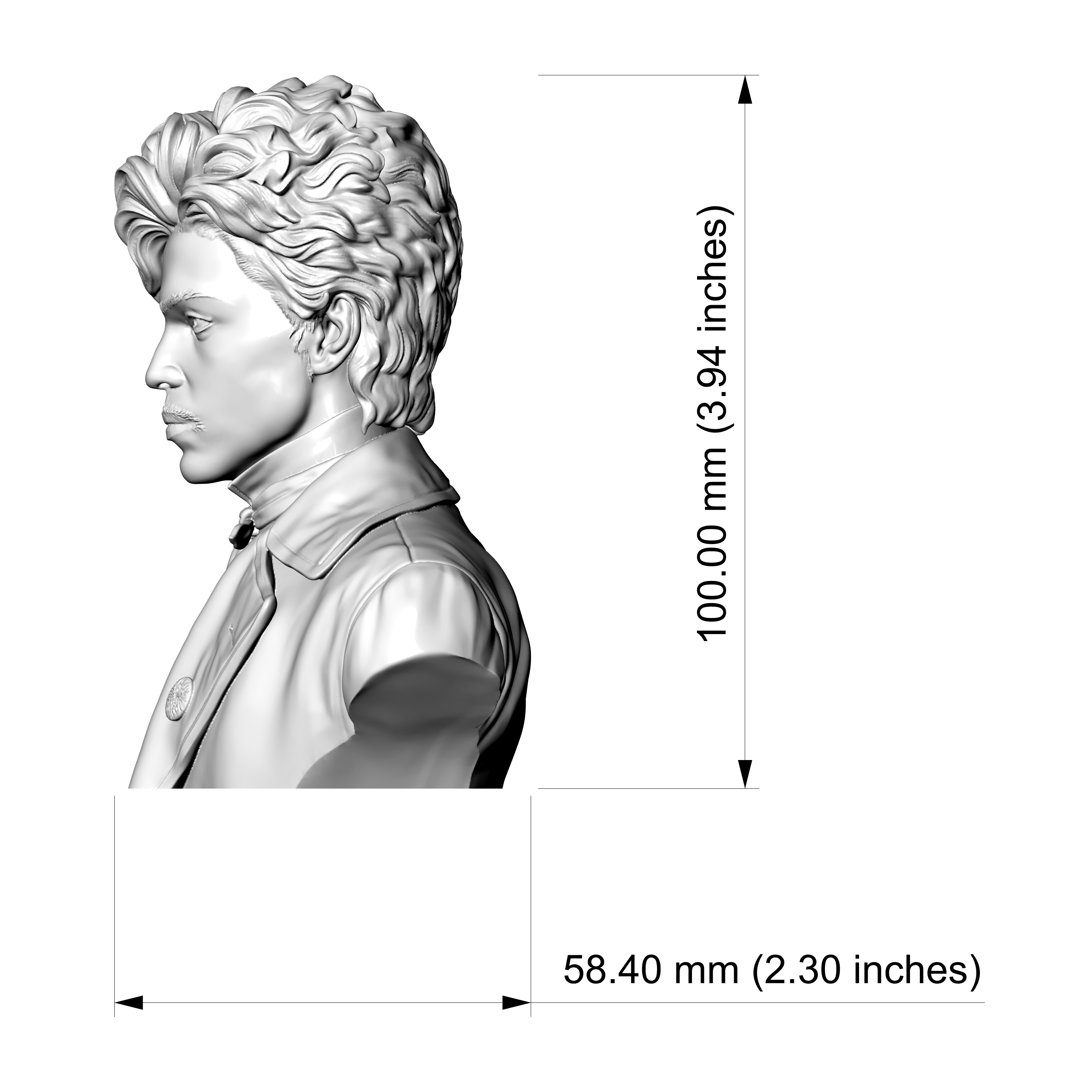 Prince Rogers Nelson Pop Icon 3D Printable Bust 3D Model