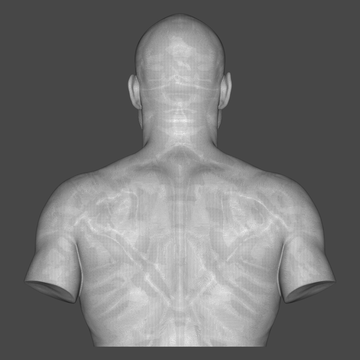 Randy Couture 3D Printable Bust 3D Model