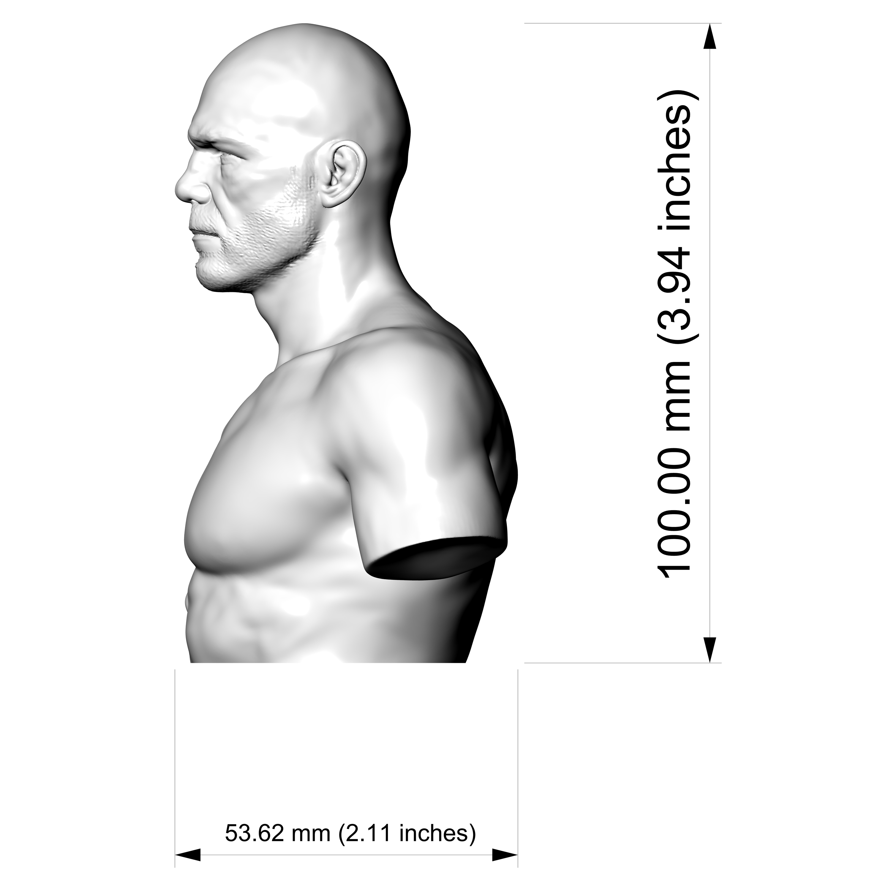 Randy Couture 3D Printable Bust 3D Model