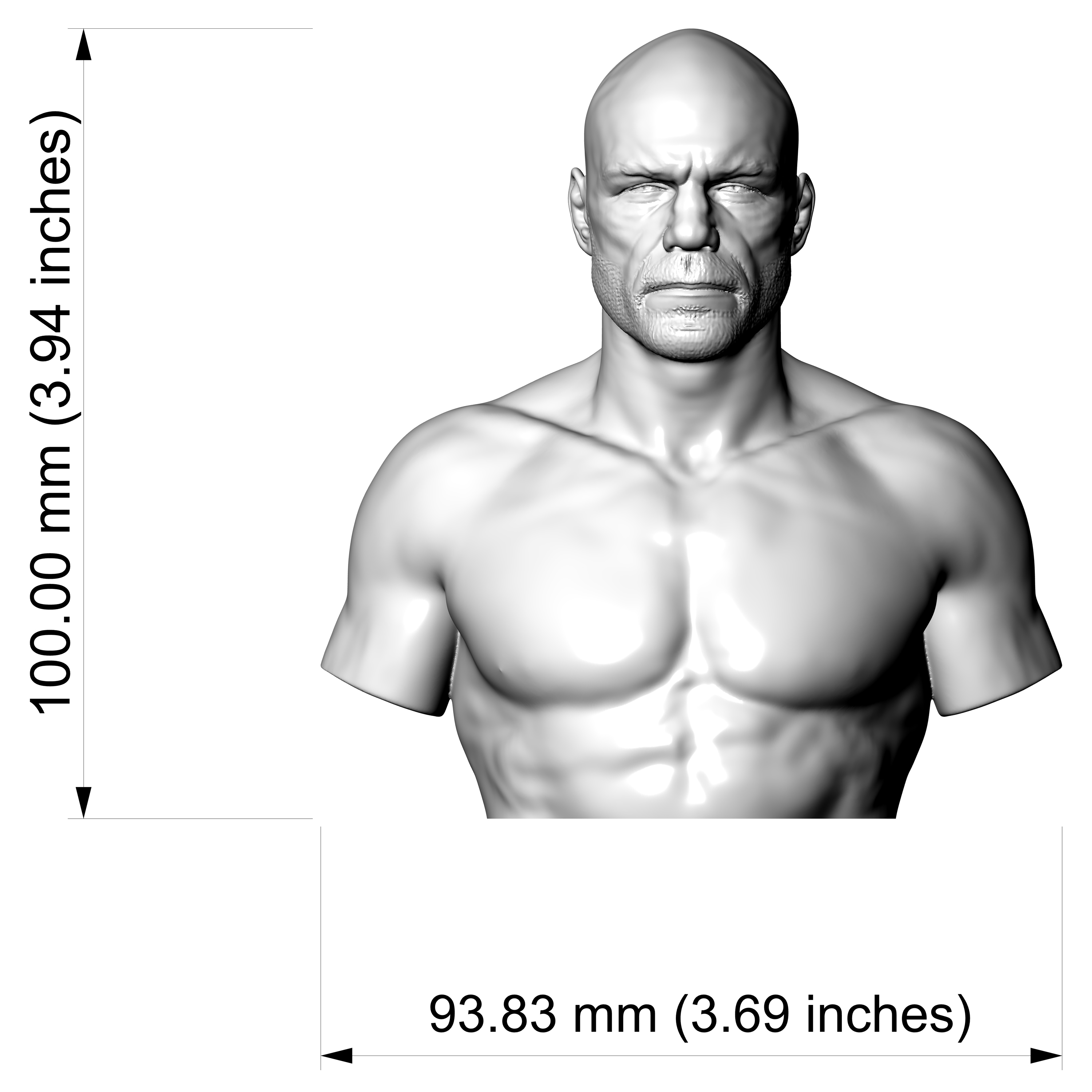 Randy Couture 3D Printable Bust 3D Model