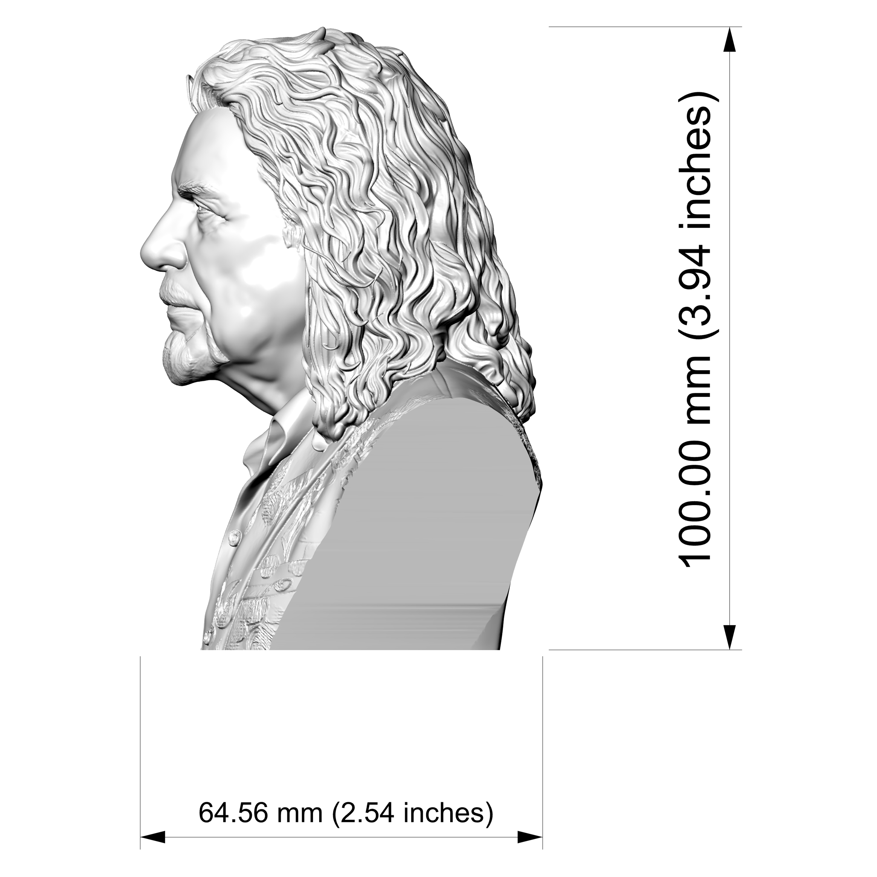 Robert Plant 3D Printable Bust 3D Model