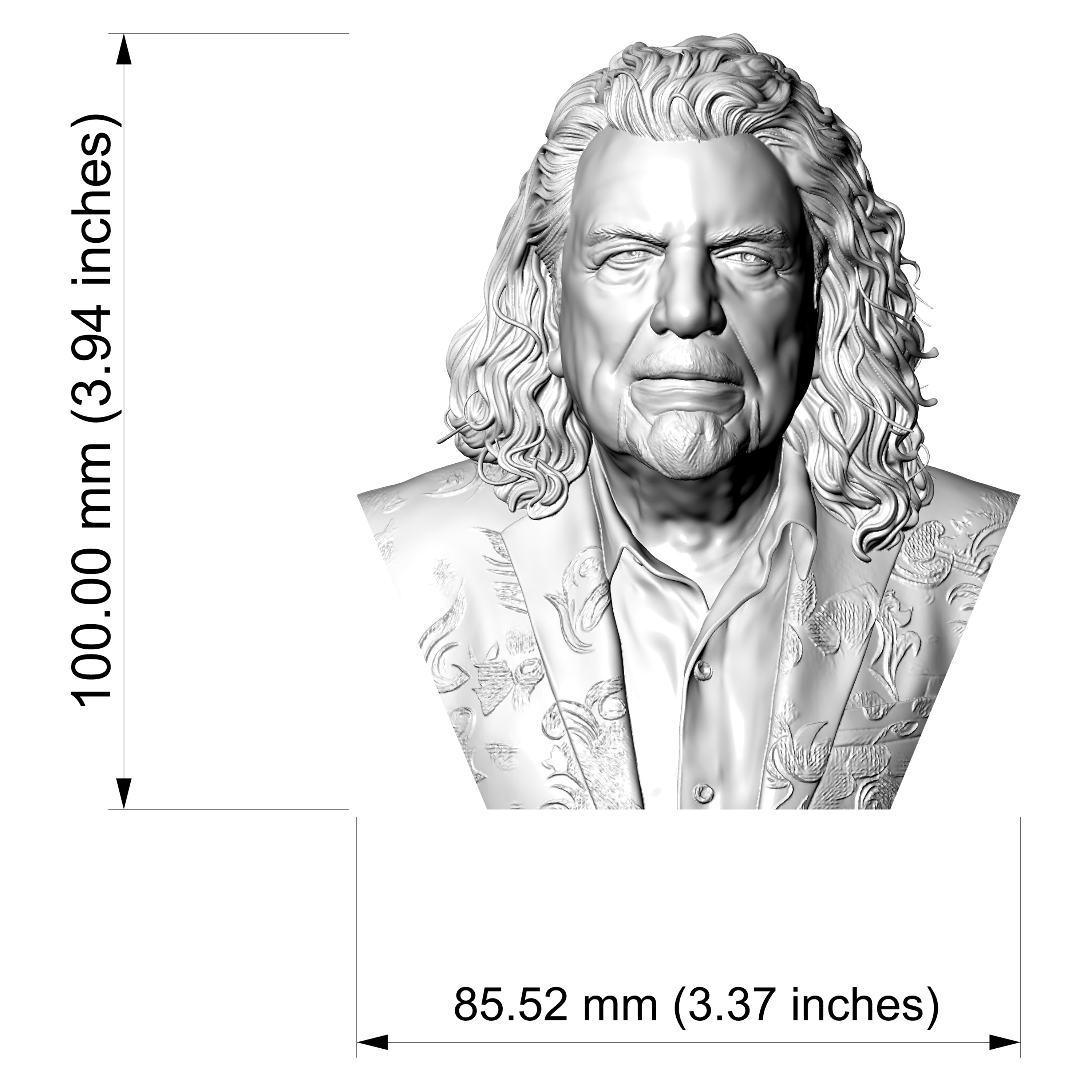 Robert Plant 3D Printable Bust 3D Model