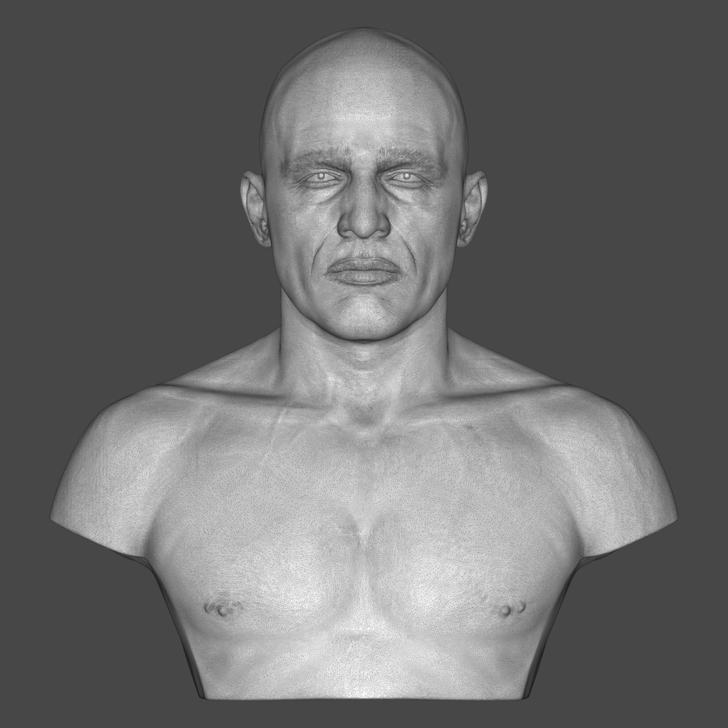 Royce Gracie 3D Printable Bust 3D Model