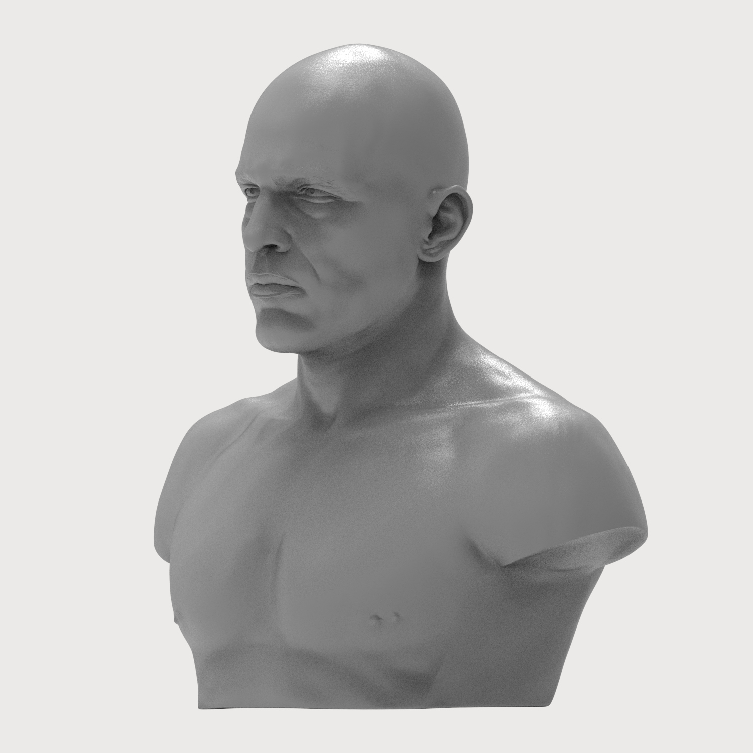 Royce Gracie 3D Printable Bust 3D Model