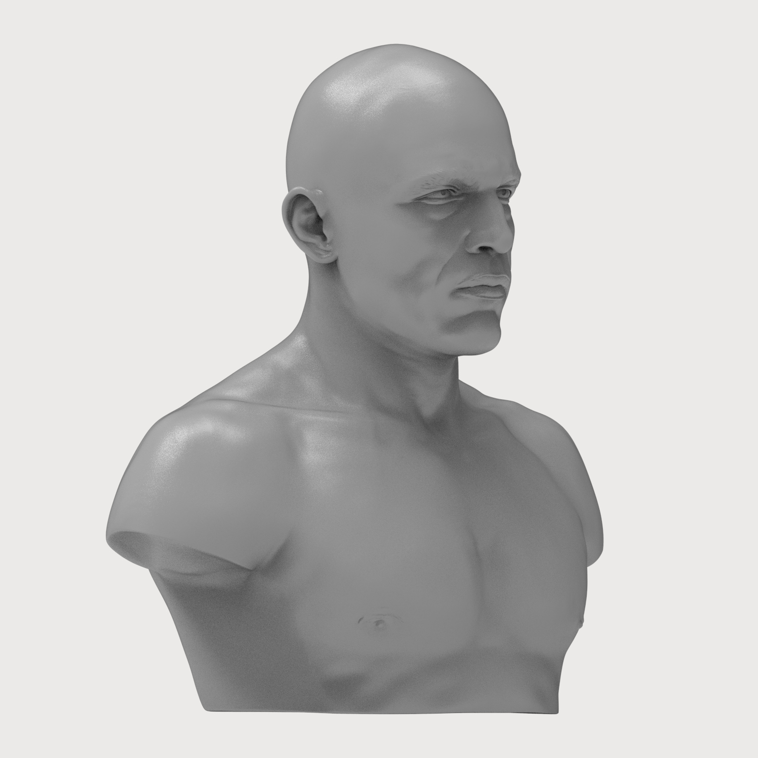 Royce Gracie 3D Printable Bust 3D Model