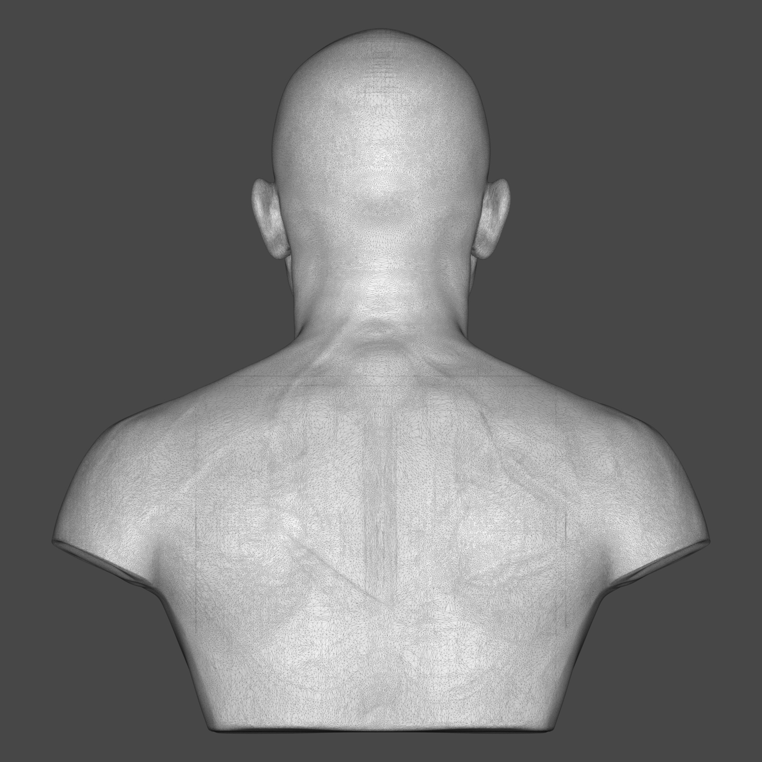 Royce Gracie 3D Printable Bust 3D Model