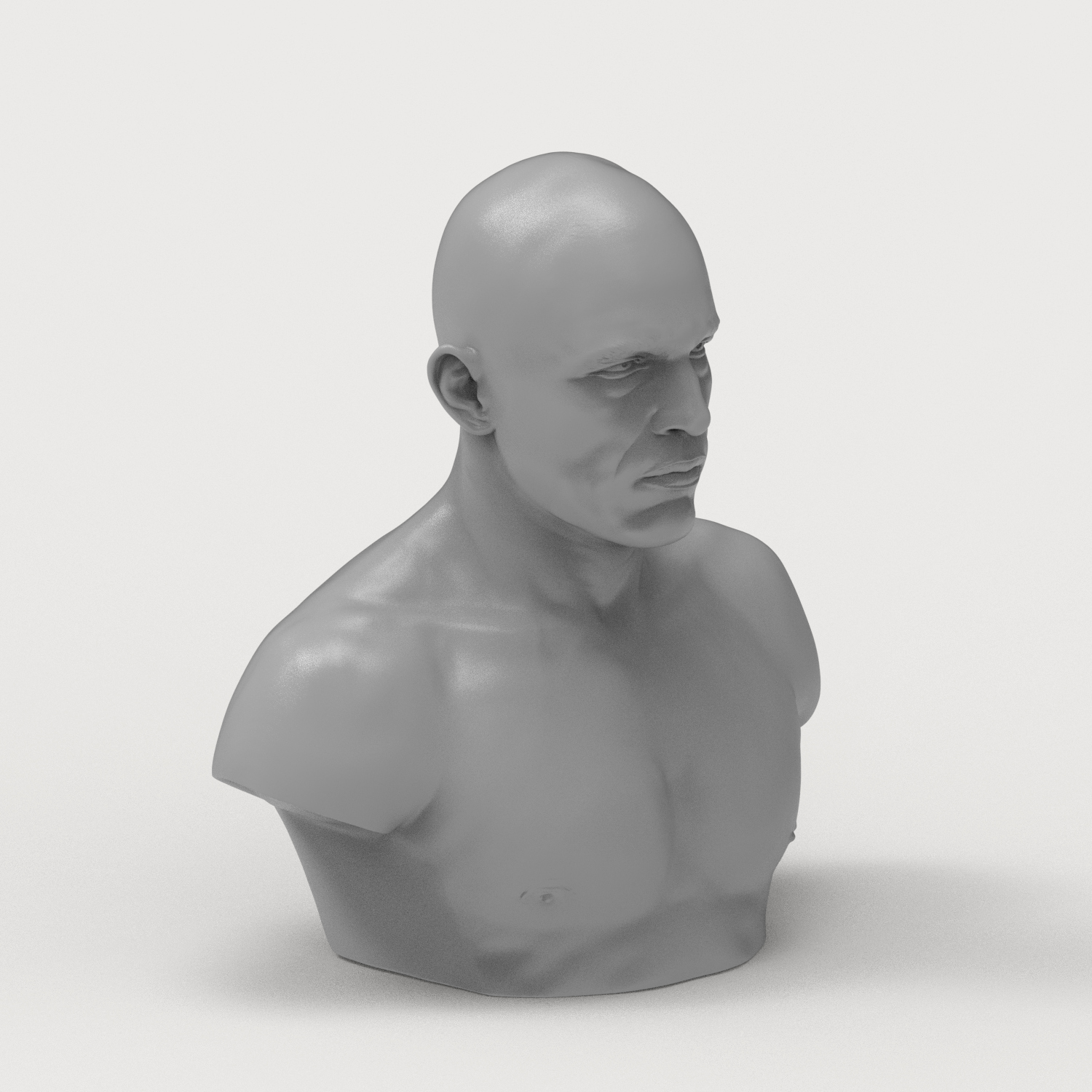 Royce Gracie 3D Printable Bust 3D Model