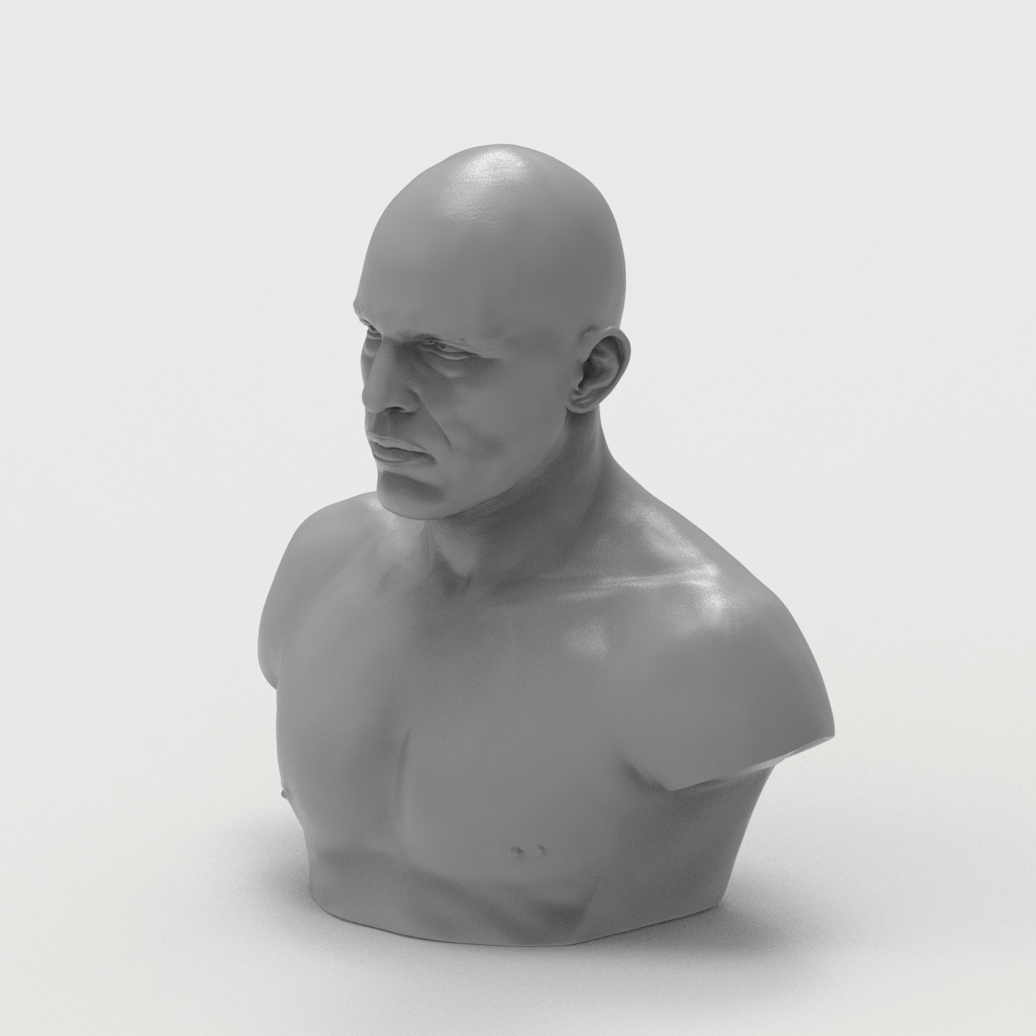 Royce Gracie 3D Printable Bust 3D Model