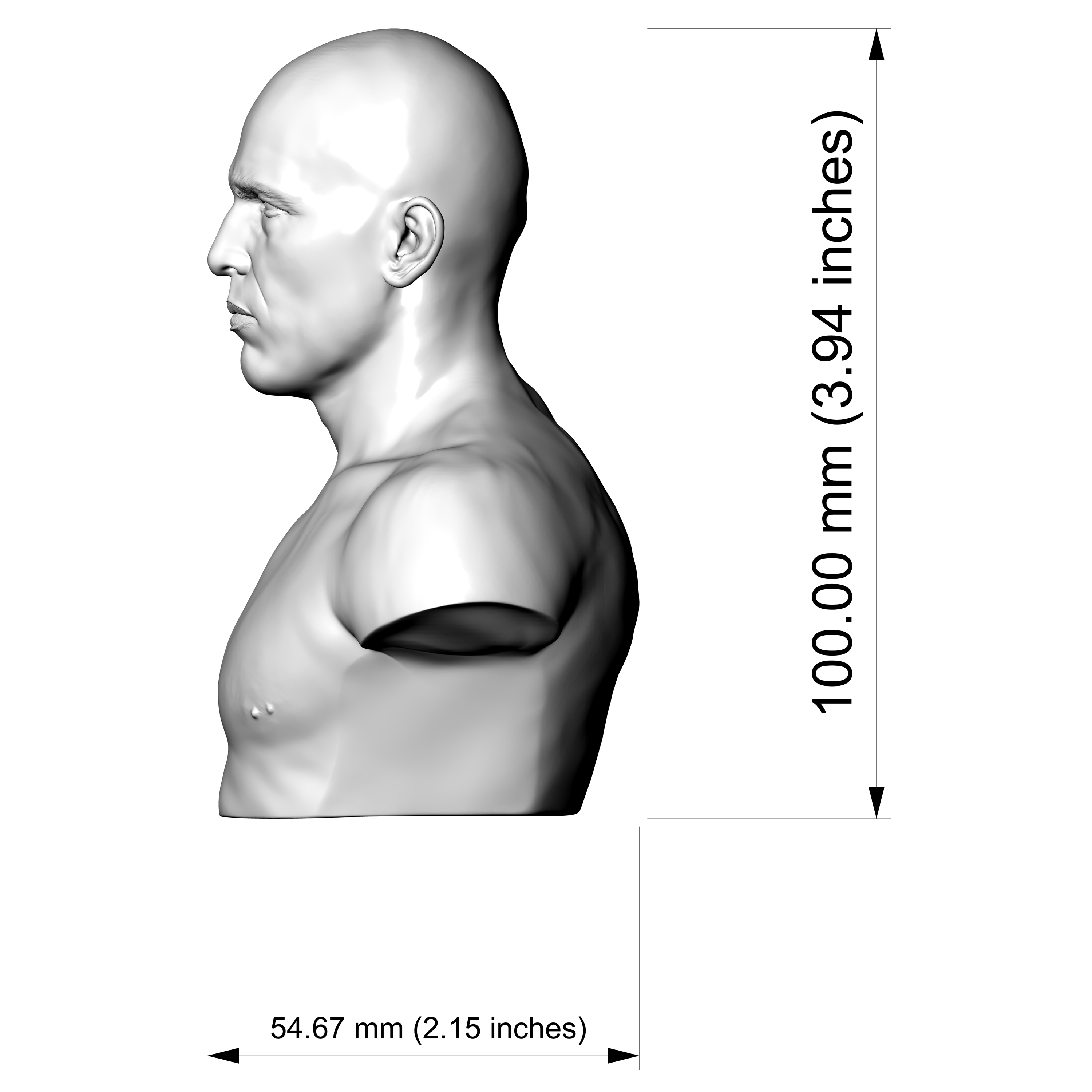 Royce Gracie 3D Printable Bust 3D Model