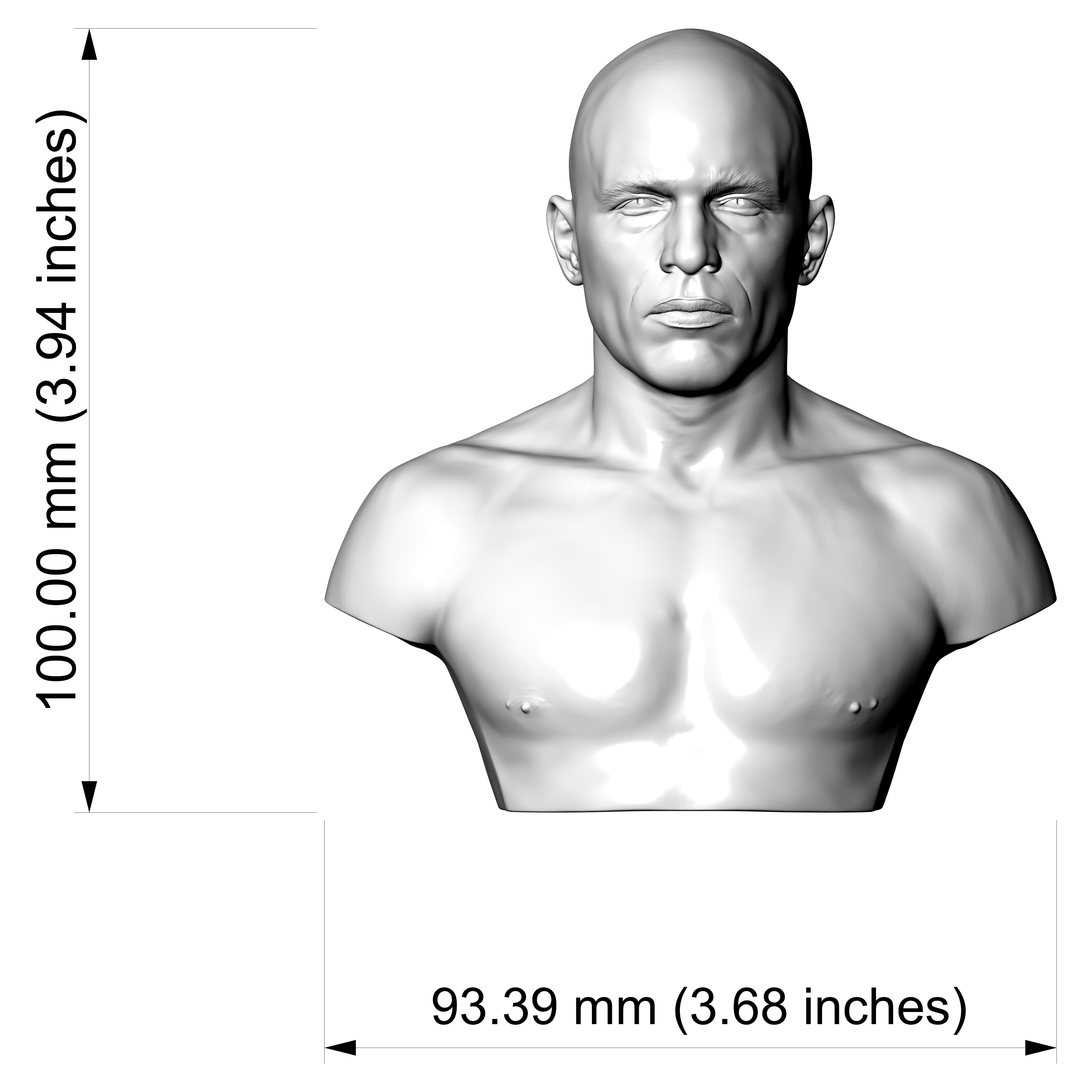 Royce Gracie 3D Printable Bust 3D Model