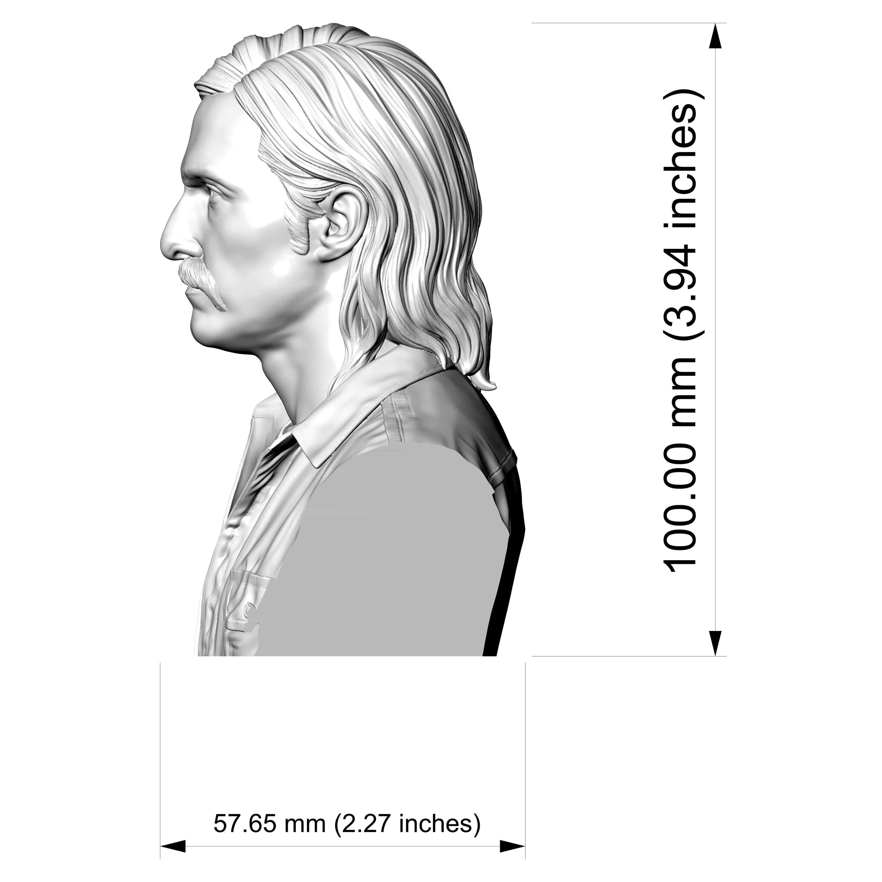 Rust Cohle True Detective 3D Printable Bust 3D Model