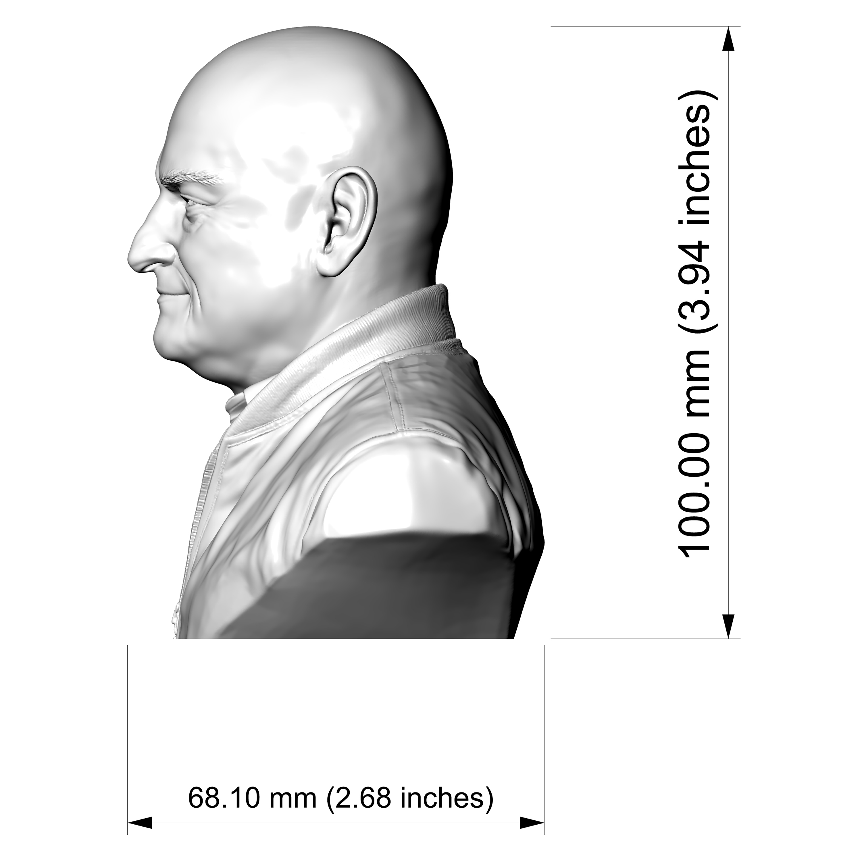 Scott Kelly US Astronaut Bust 3D Model