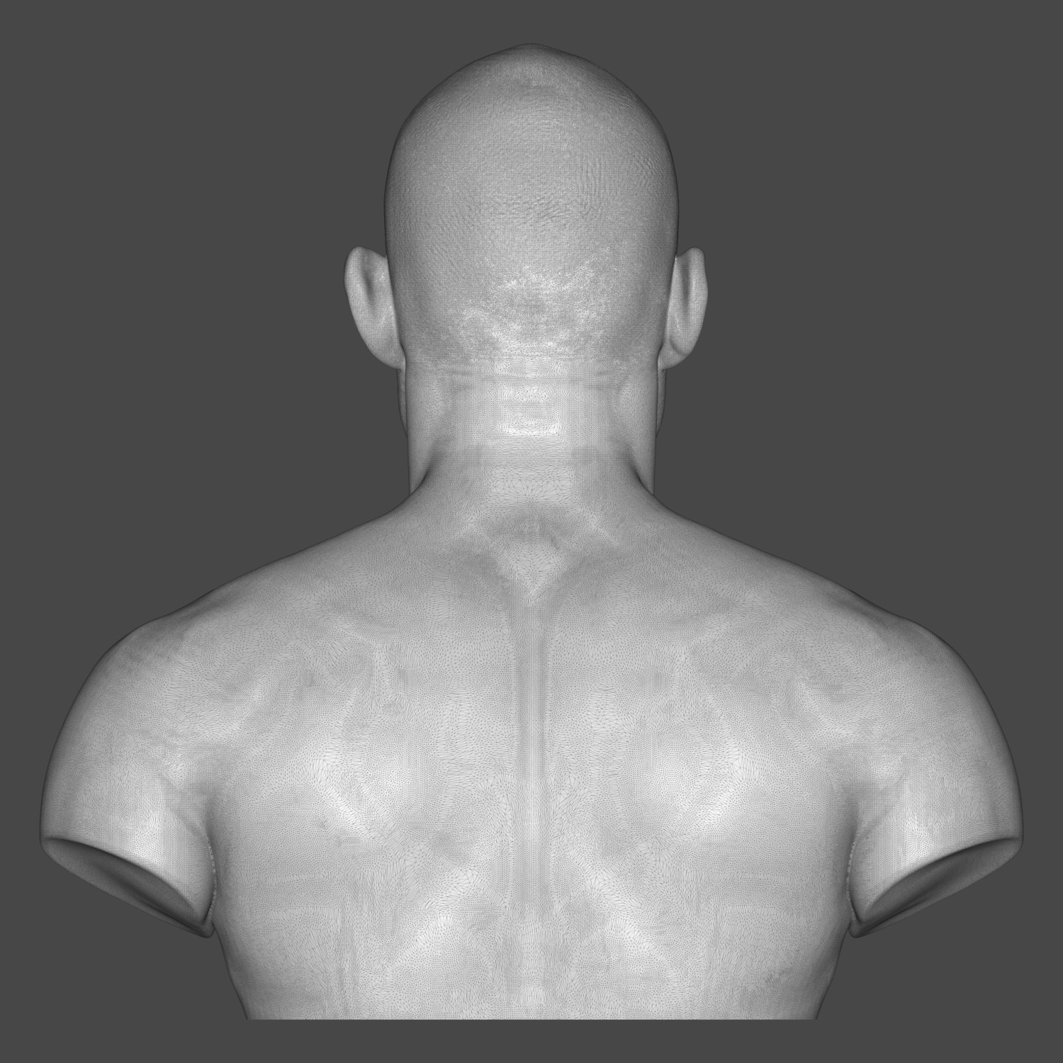Sean Strickland 3D Printable Bust 3D Model