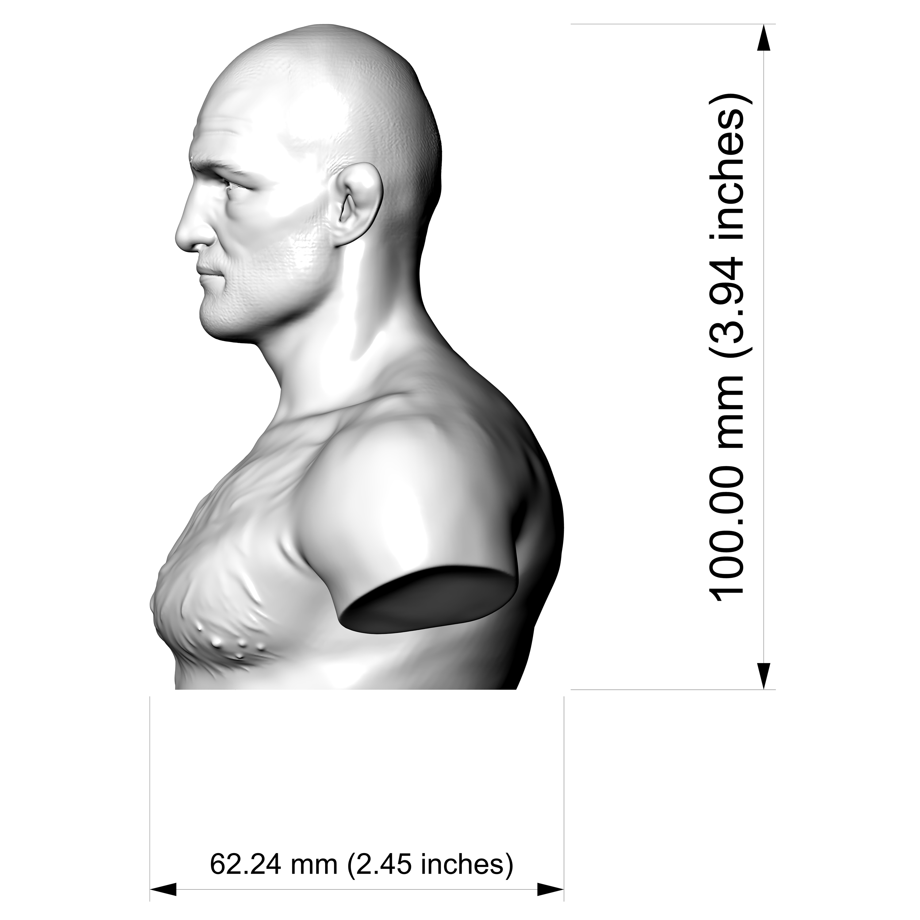 Sean Strickland 3D Printable Bust 3D Model
