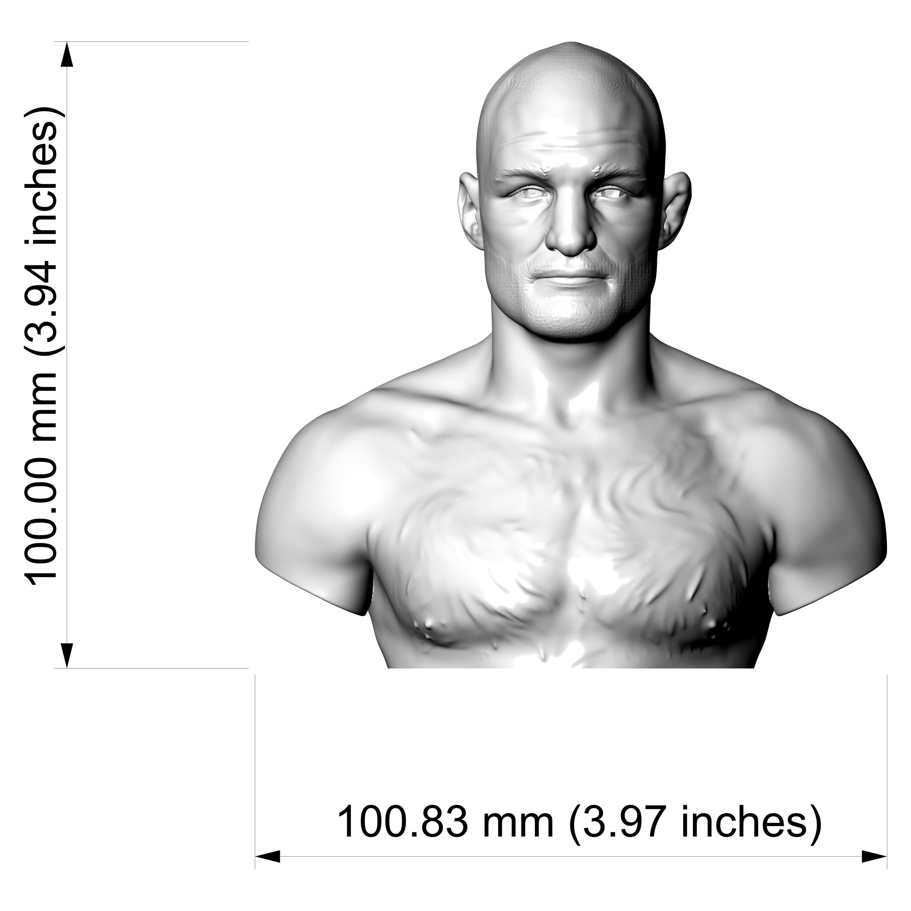 Sean Strickland 3D Printable Bust 3D Model