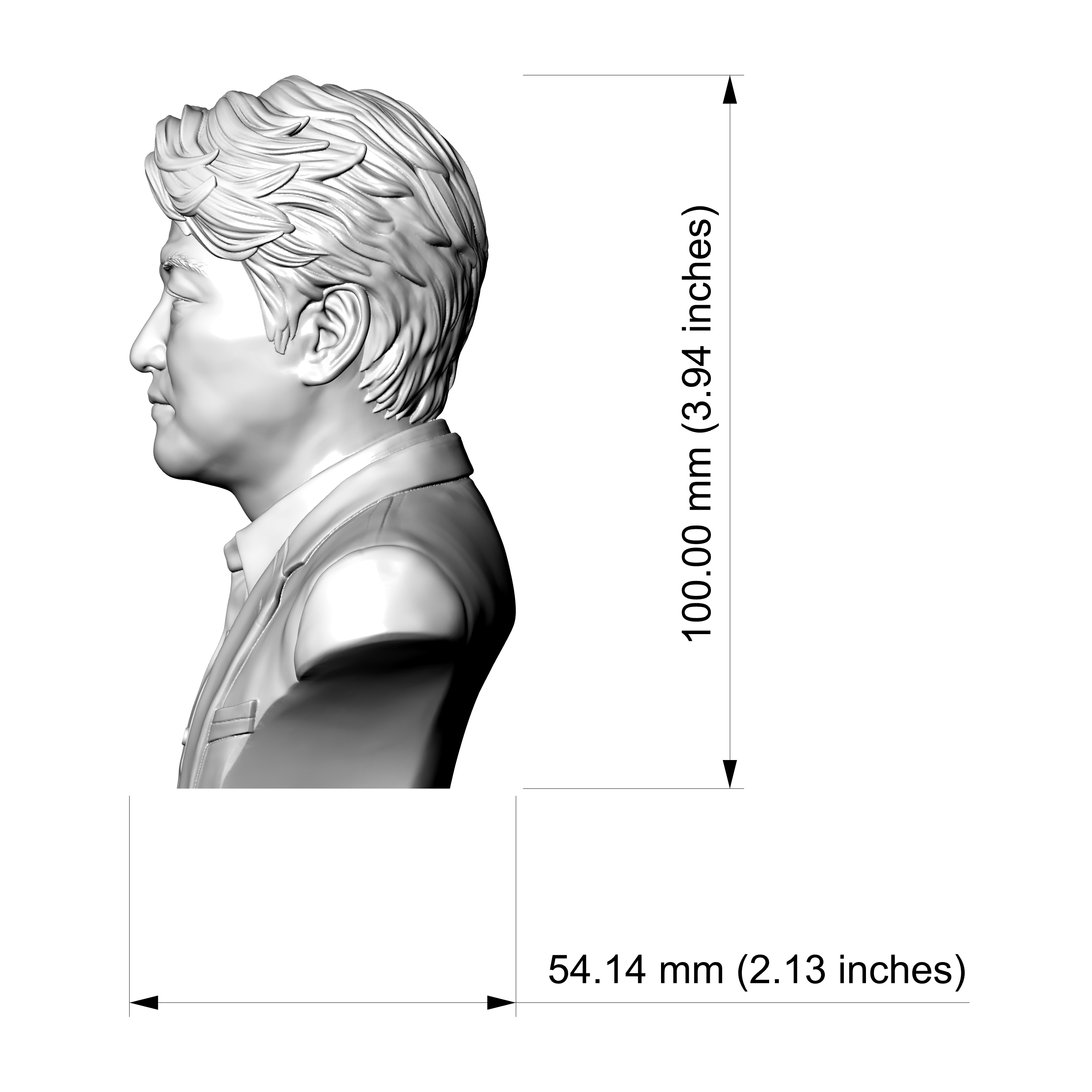 Song Kang Ho Bust 3D Printable Model 3D Model