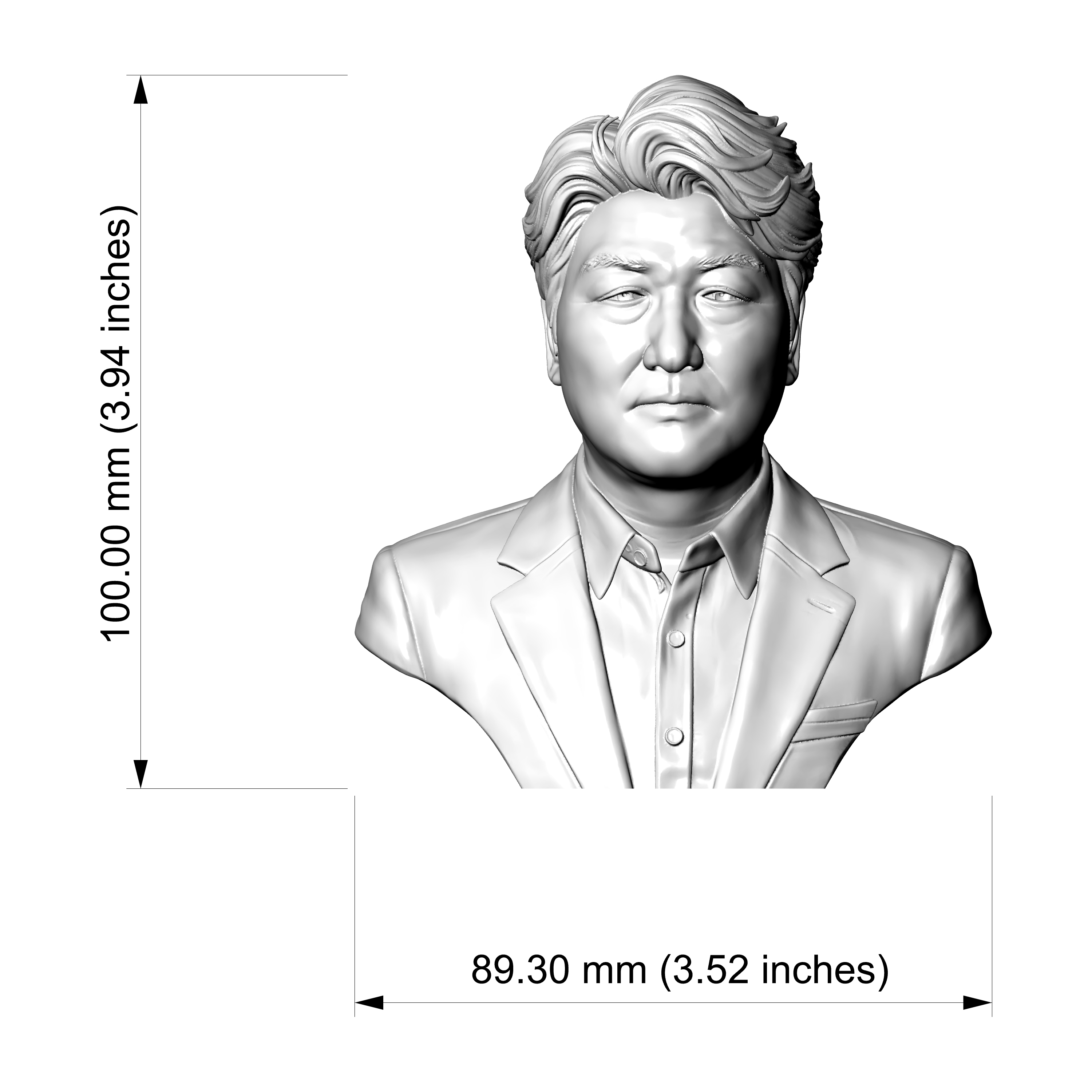 Song Kang Ho Bust 3D Printable Model 3D Model