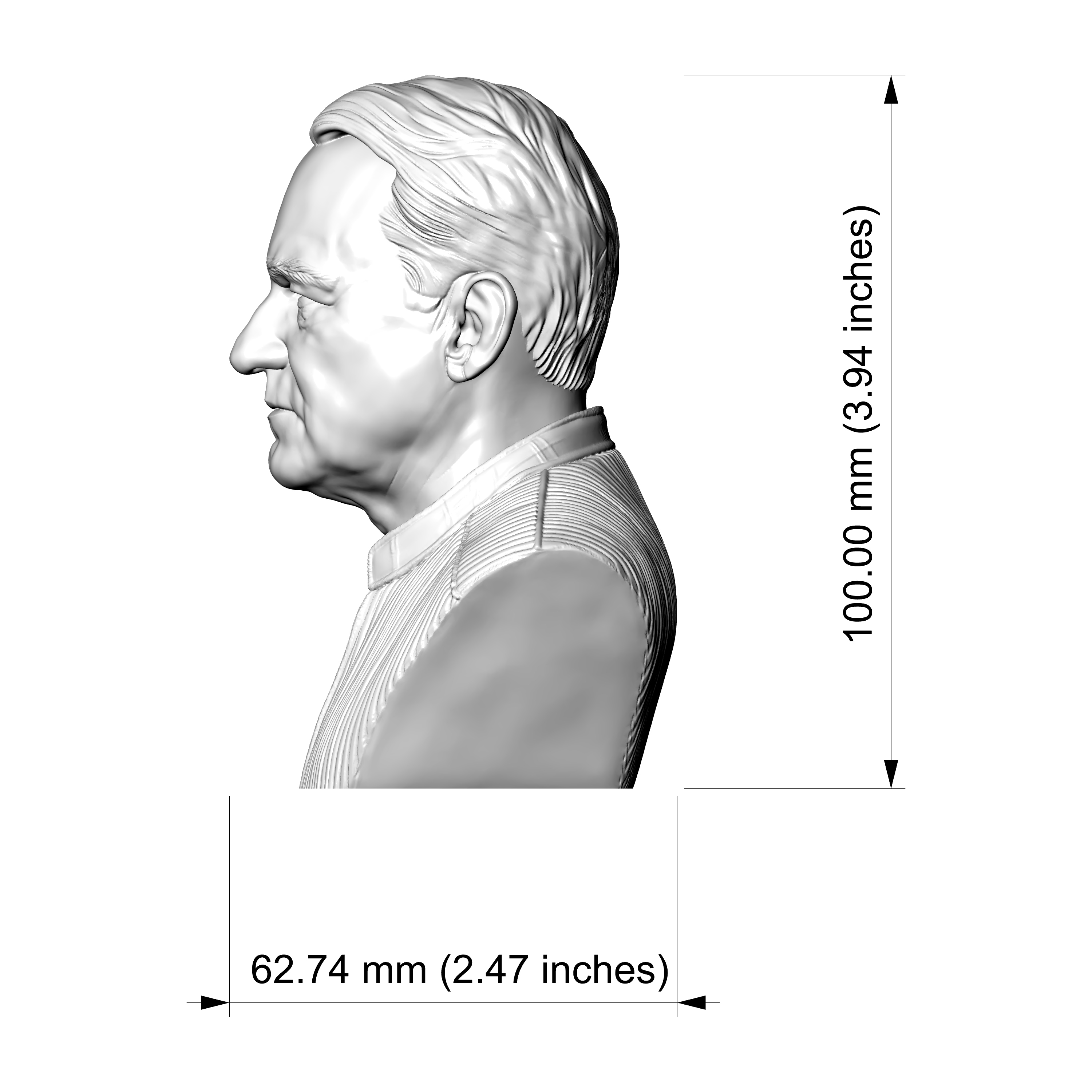Stellan Skarsg&aringrd 3D Printable Bust 3D Model