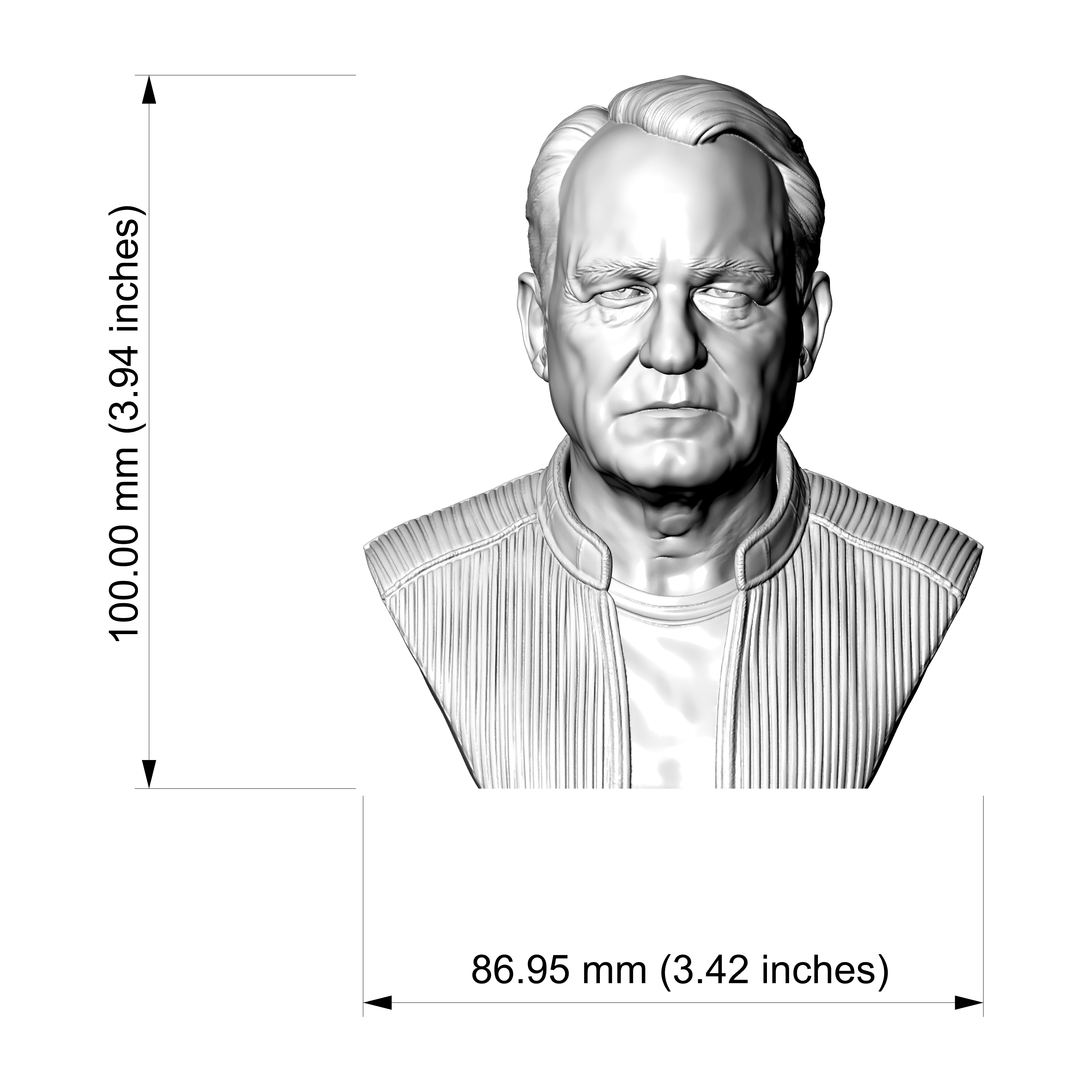 Stellan Skarsgård 3D Printable Bust 3D Model