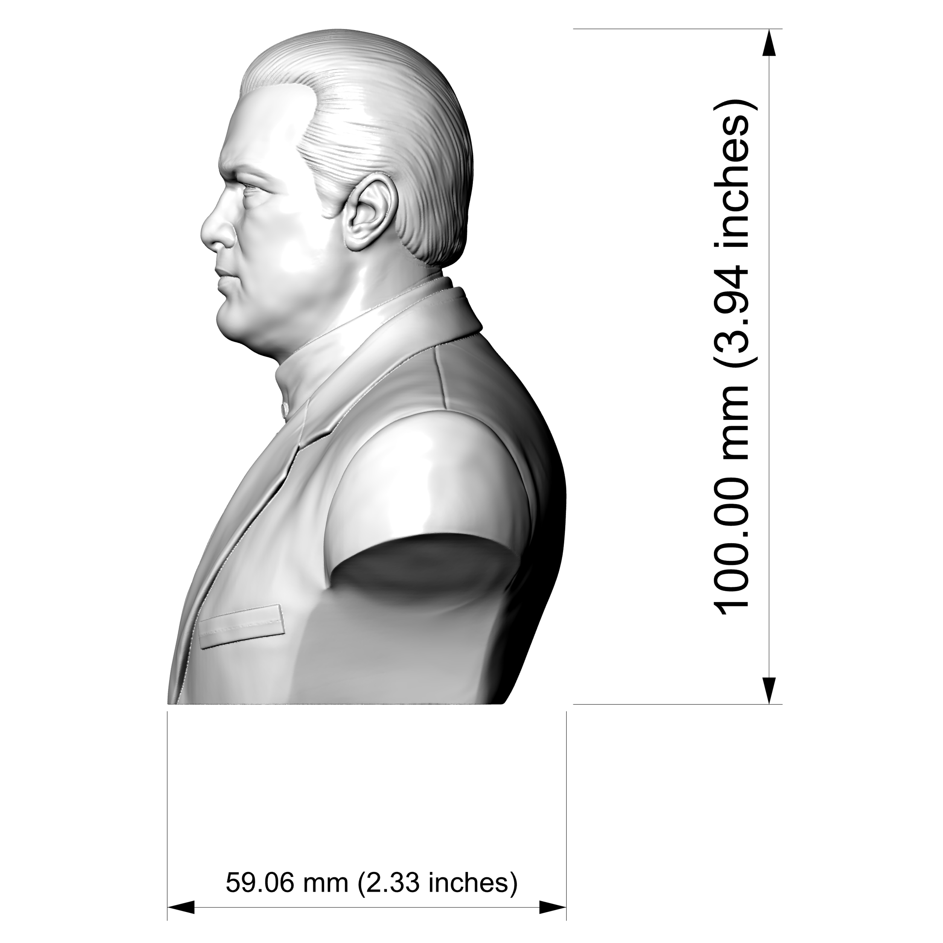 Steven Seagal Portrait Bust 3D Printable 3D Model