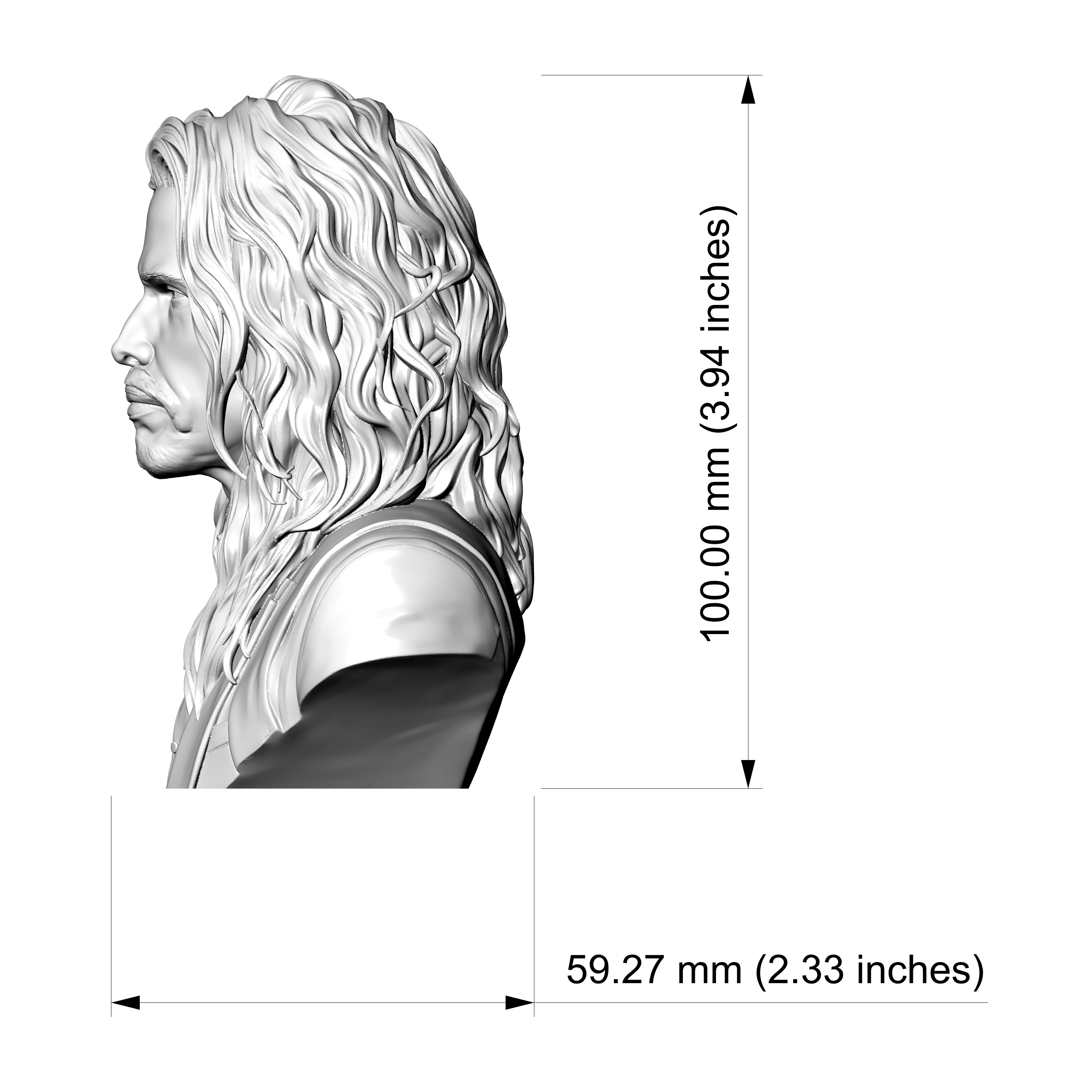 Steven Tyler 3D Printable Bust 3D Model