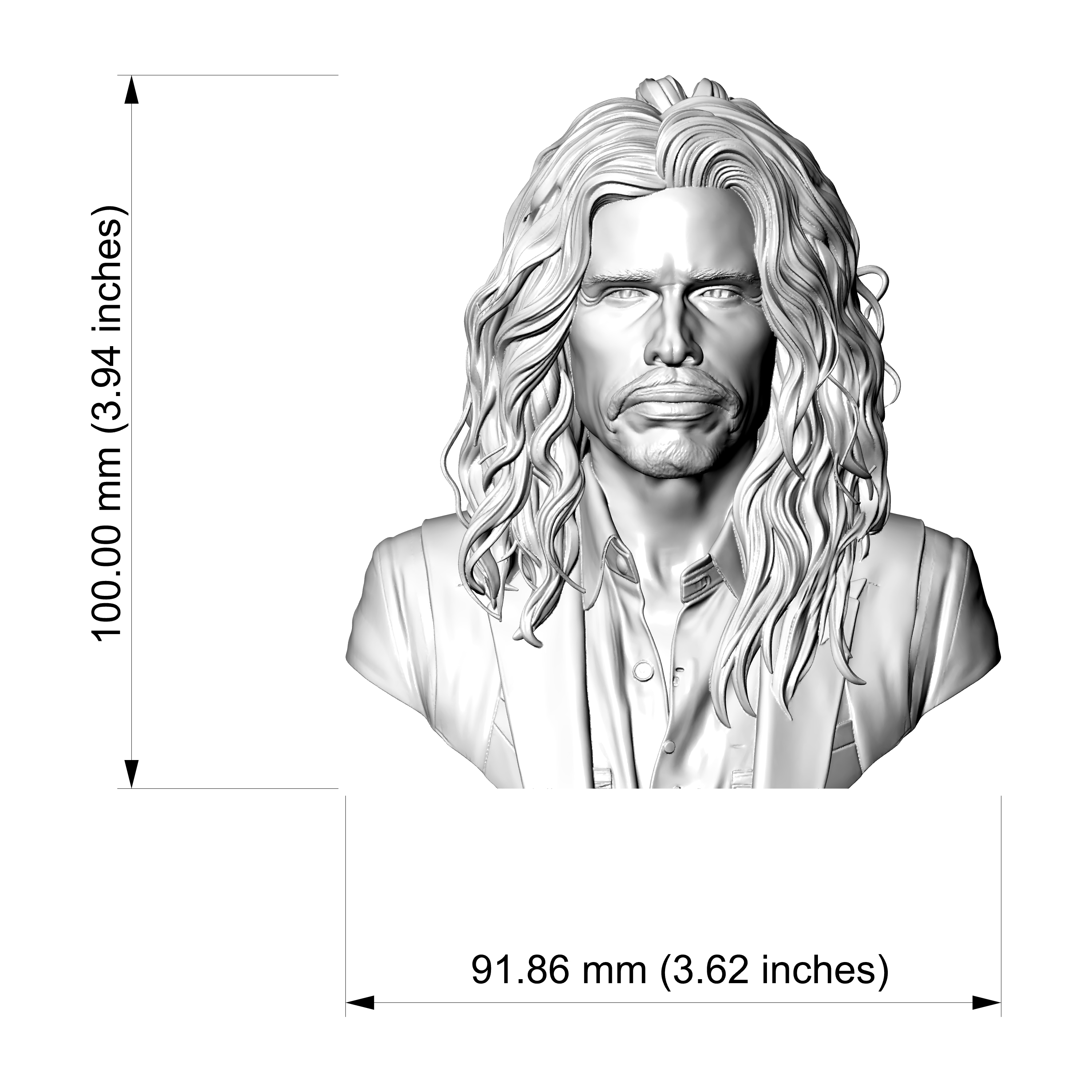 Steven Tyler 3D Printable Bust 3D Model