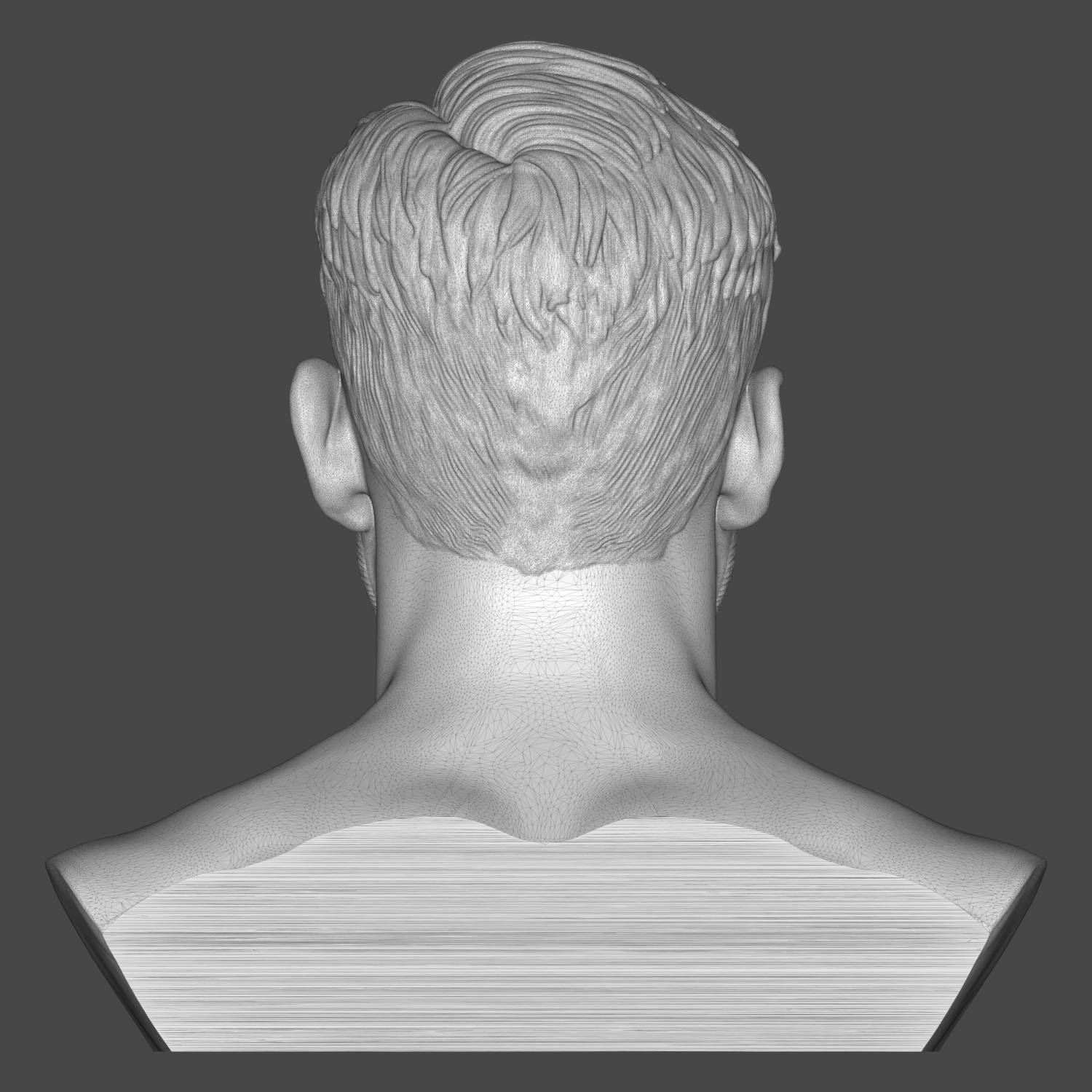 Stipe Miocic 3D Printable Bust 3D Model