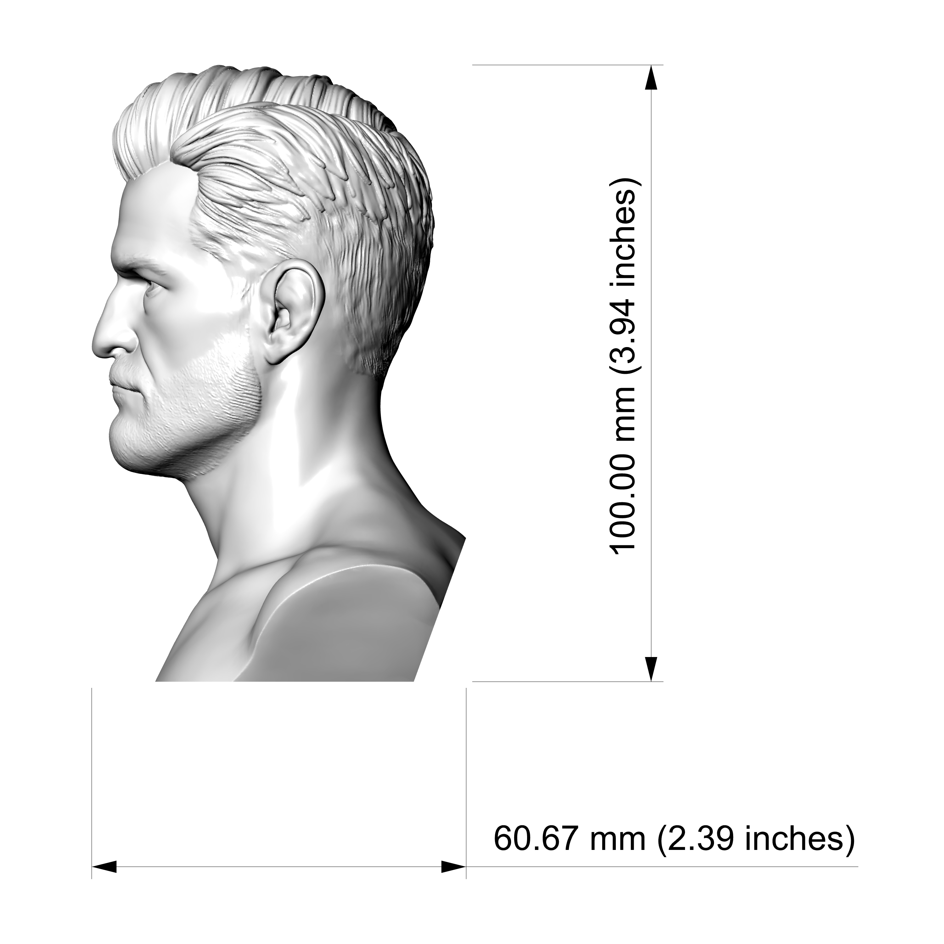 Stipe Miocic 3D Printable Bust 3D Model