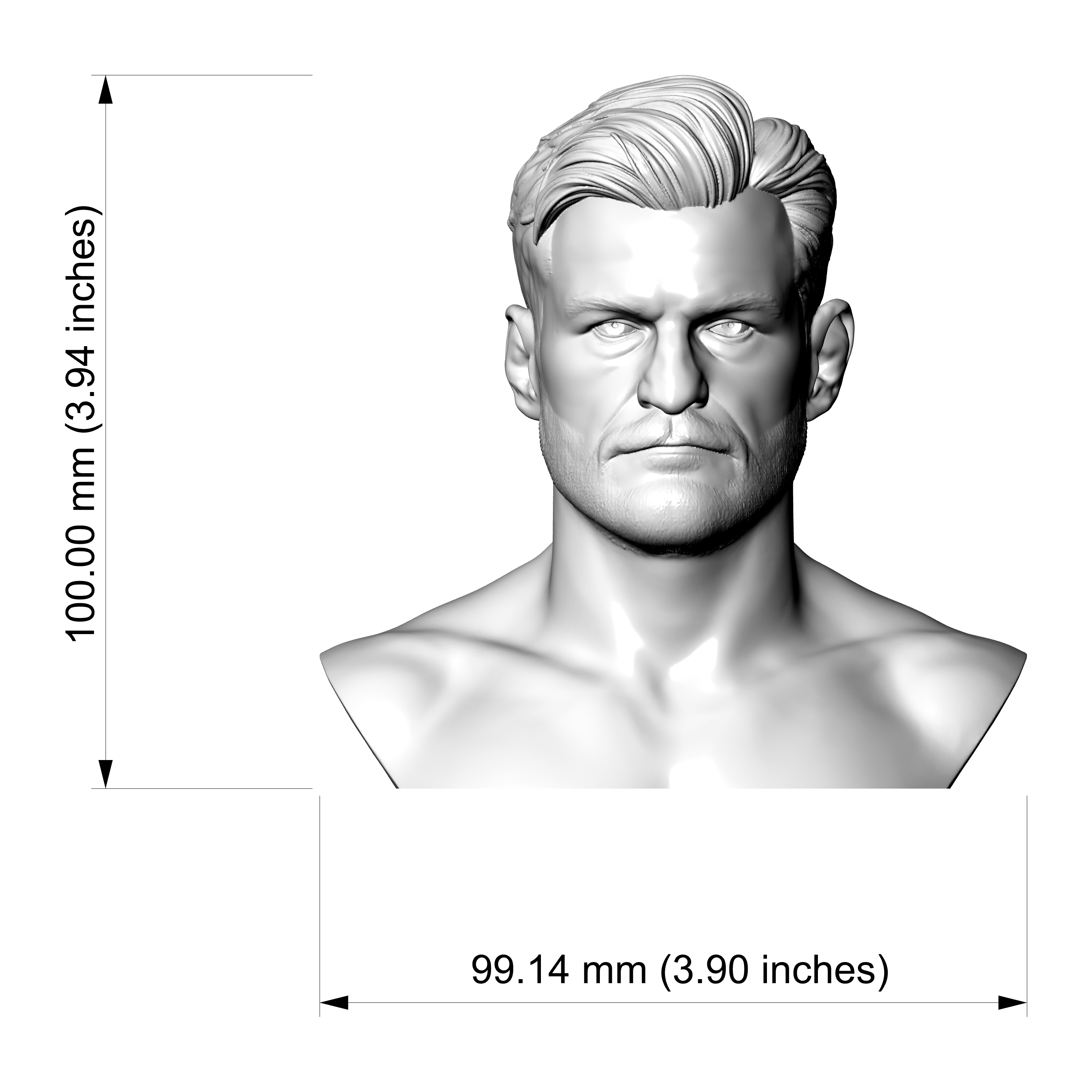 Stipe Miocic 3D Printable Bust 3D Model