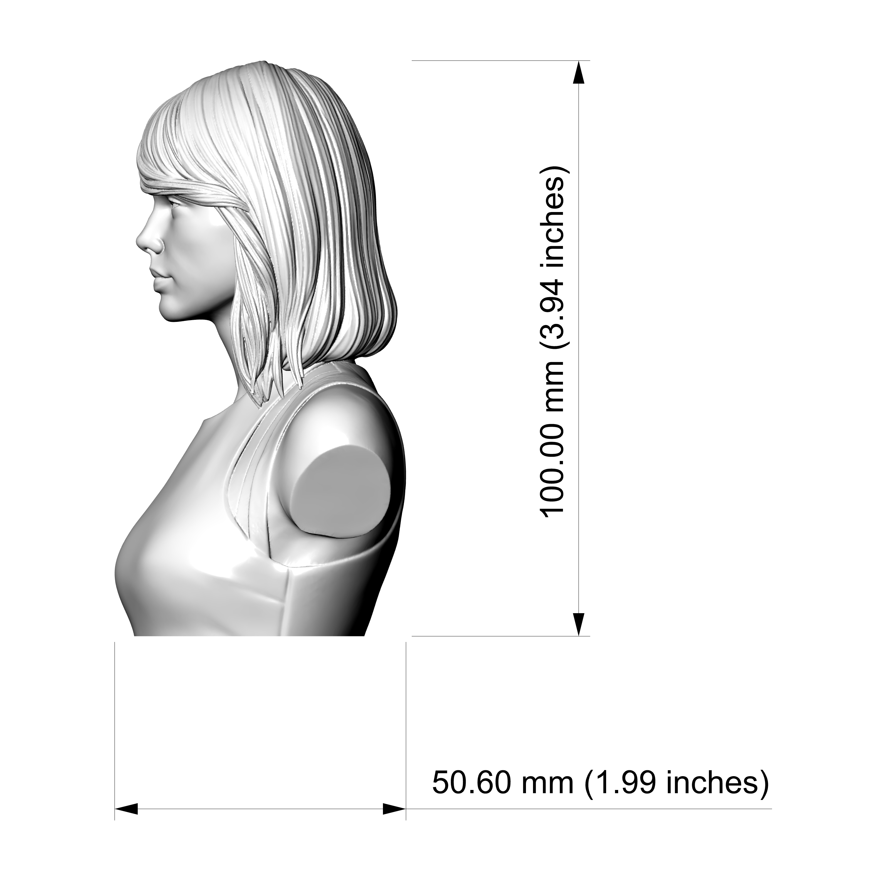 Taylor Swift 3D Printable Bust 3D Model