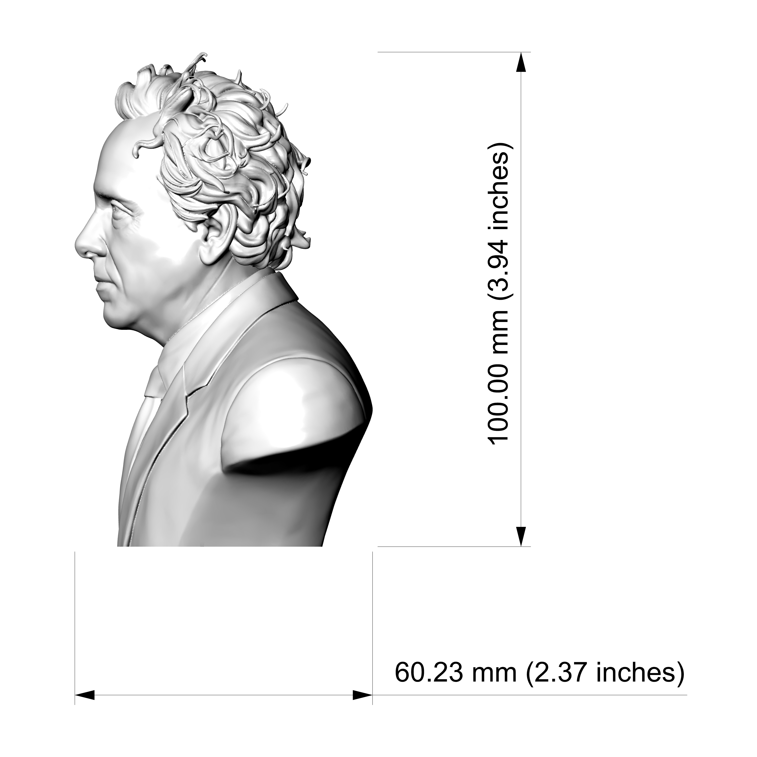 Tim Burton Bust 3D Printable Model 3D Model