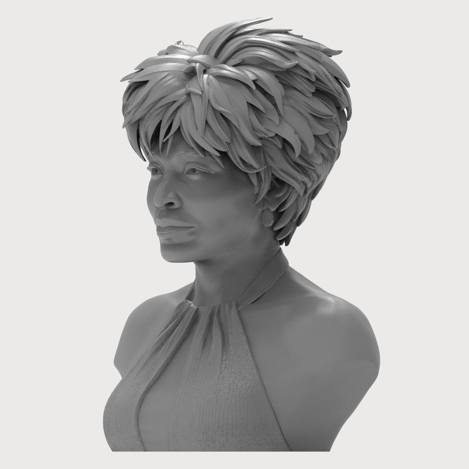 Tina Turner 3D Printable Bust 3D Model
