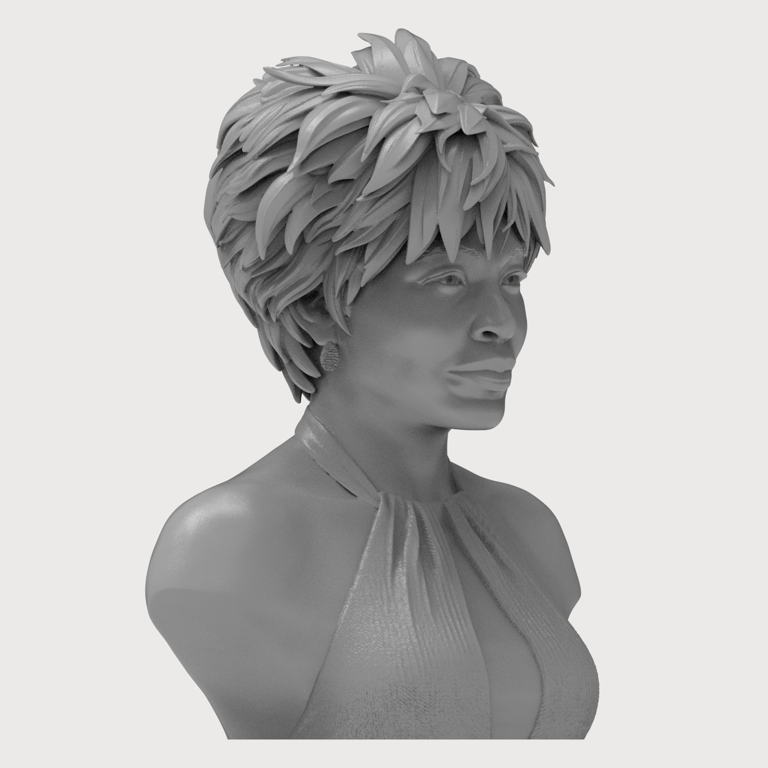 Tina Turner 3D Printable Bust 3D Model
