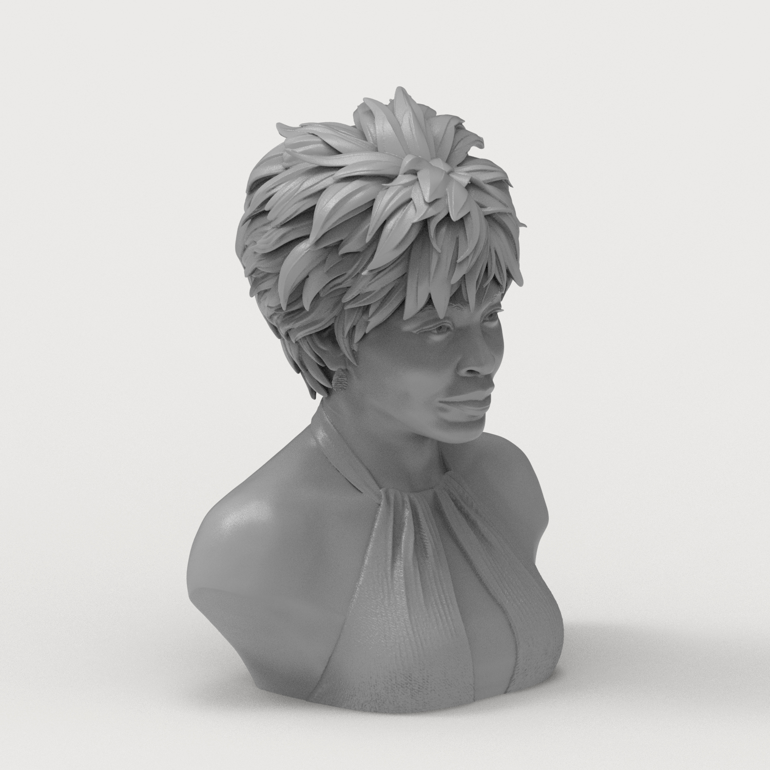 Tina Turner 3D Printable Bust 3D Model