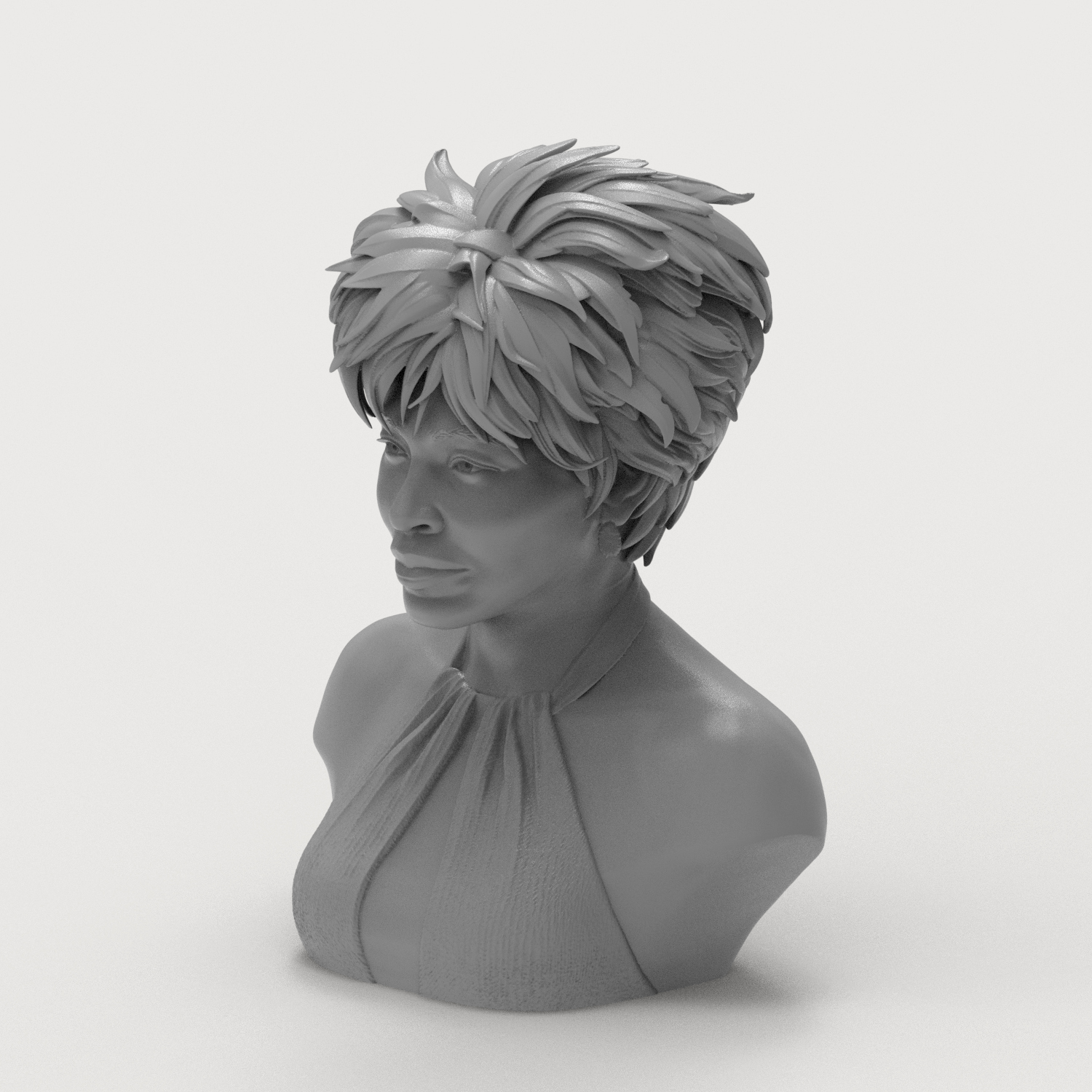 Tina Turner 3D Printable Bust 3D Model