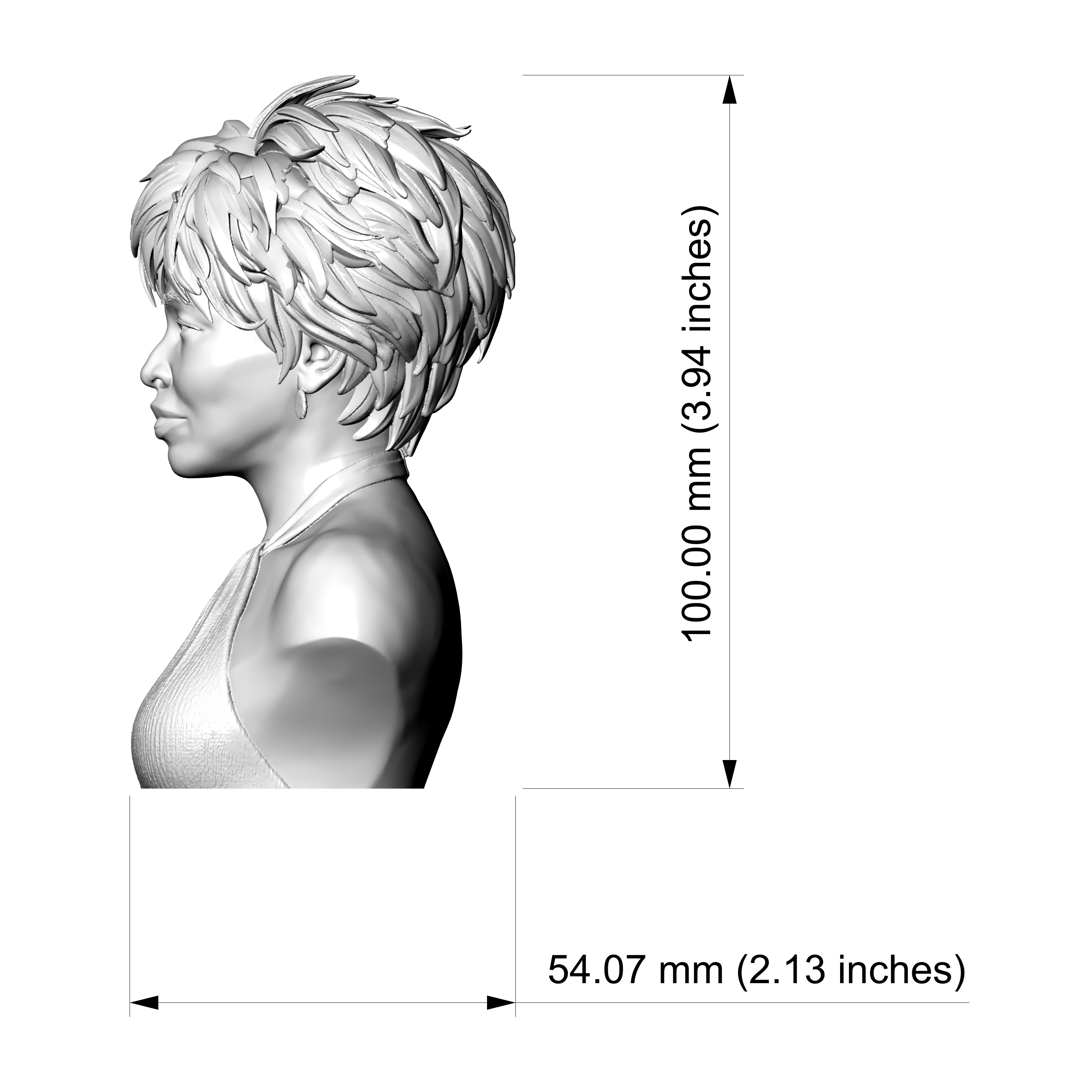 Tina Turner 3D Printable Bust 3D Model