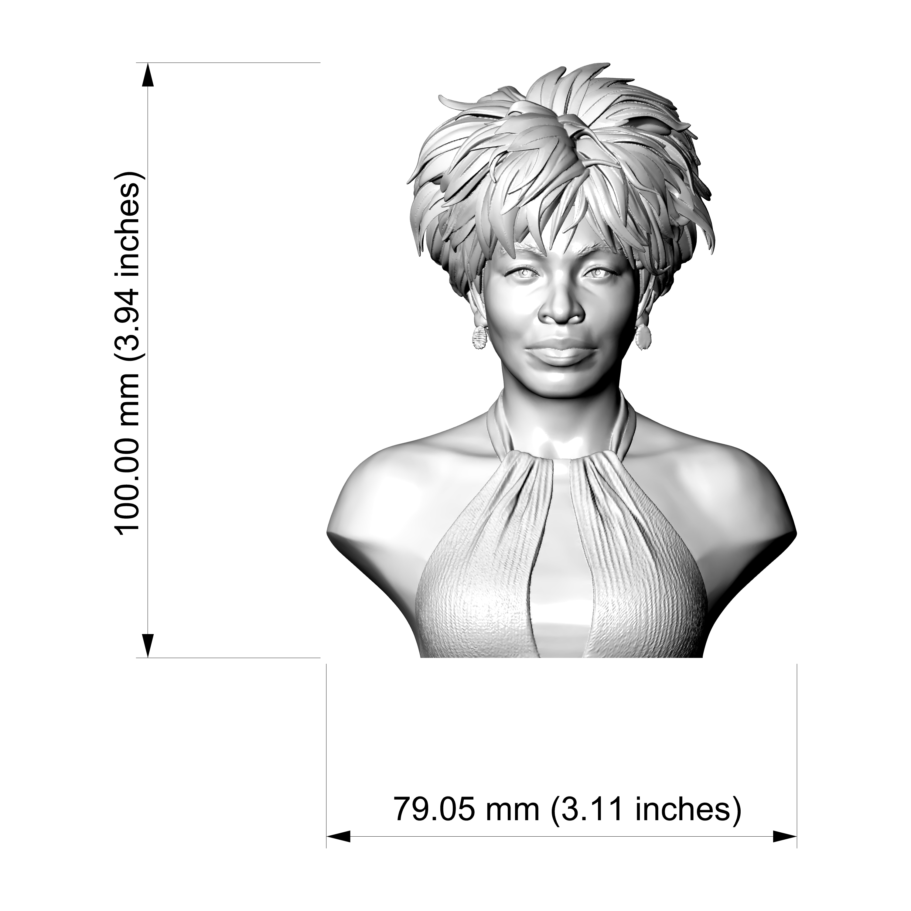 Tina Turner 3D Printable Bust 3D Model