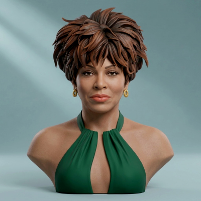 Tina Turner 3D Printable Bust