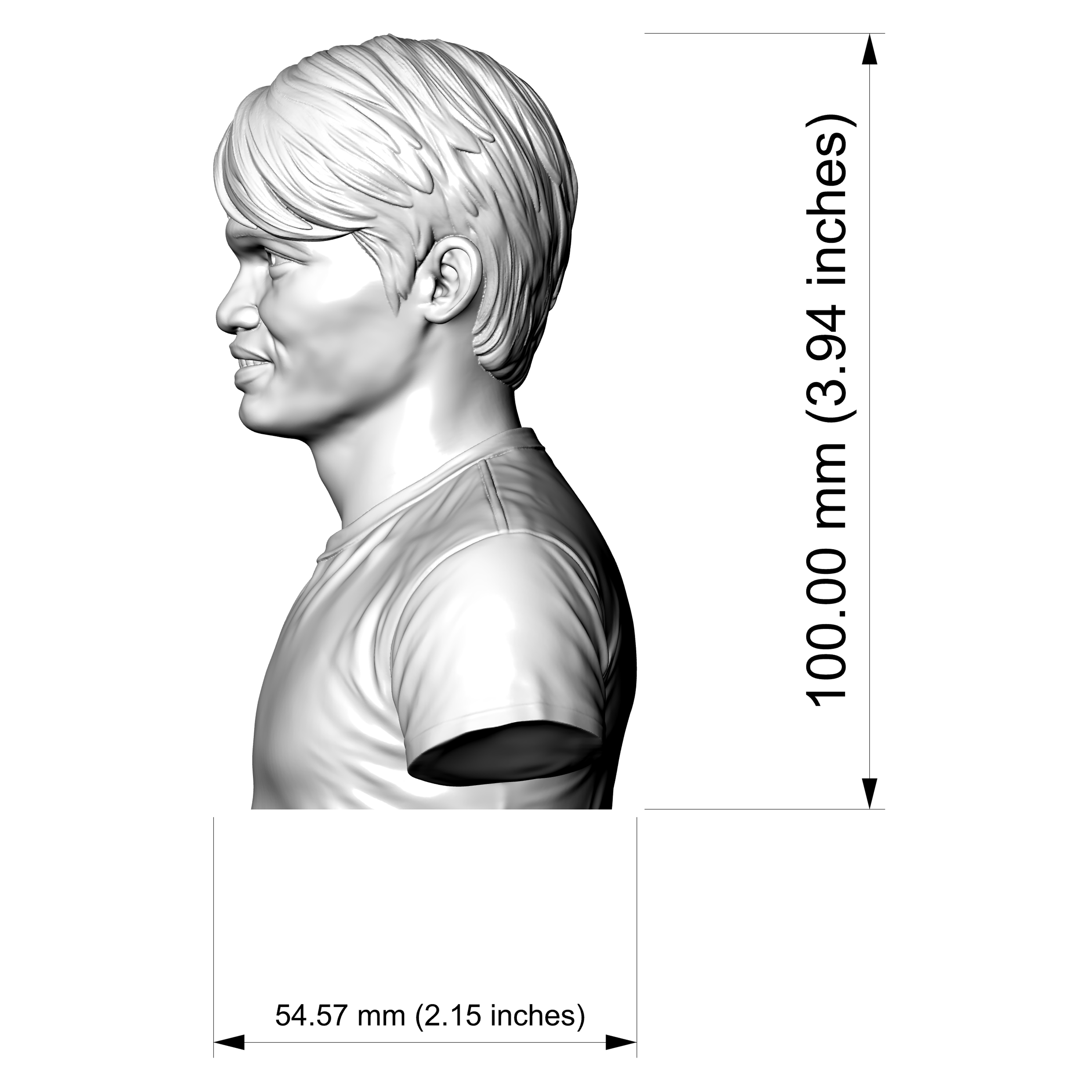 Tony Jaa Portrait Bust 3D Printable 3D Model