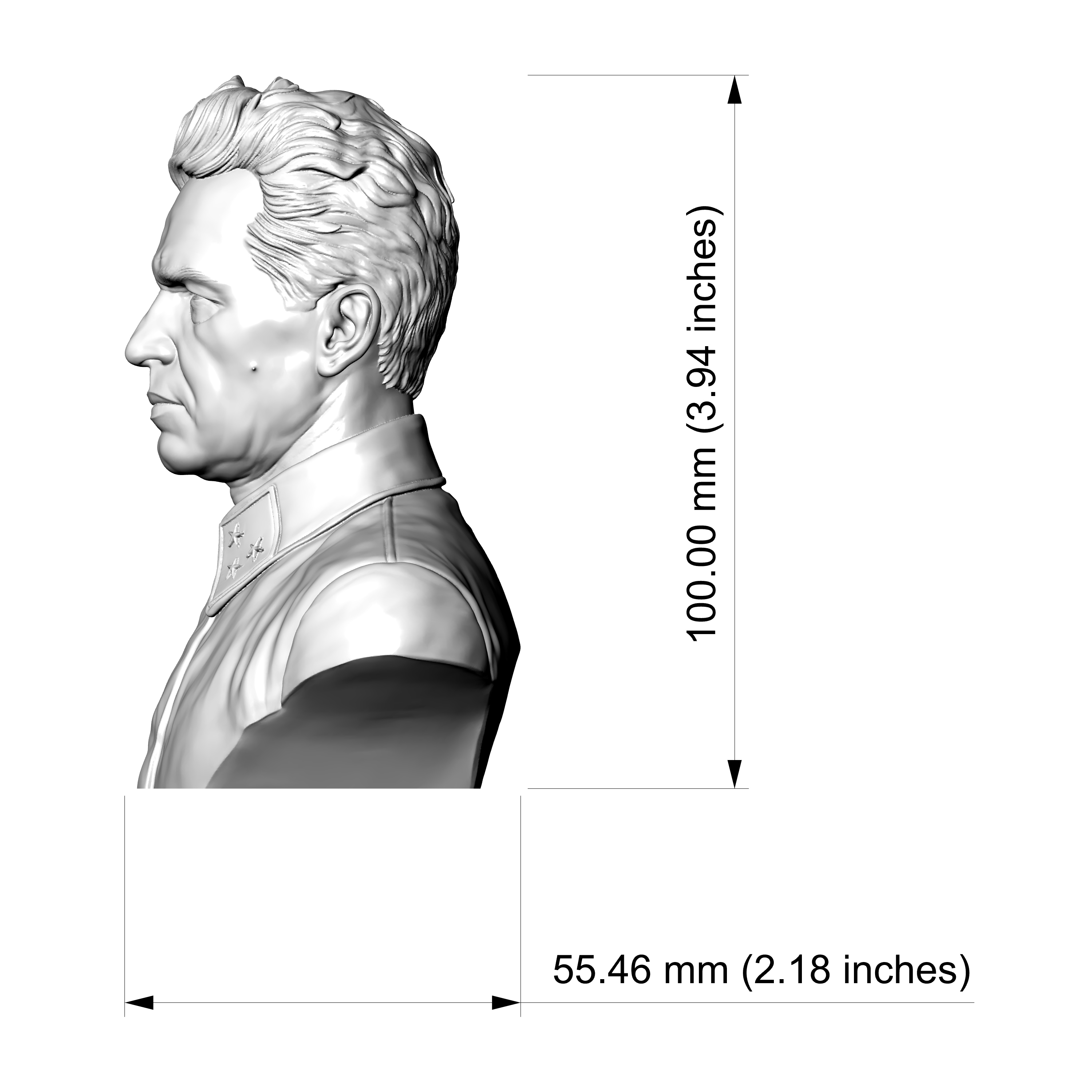 Vasily Chuikov 3D Printable Bust 3D Model