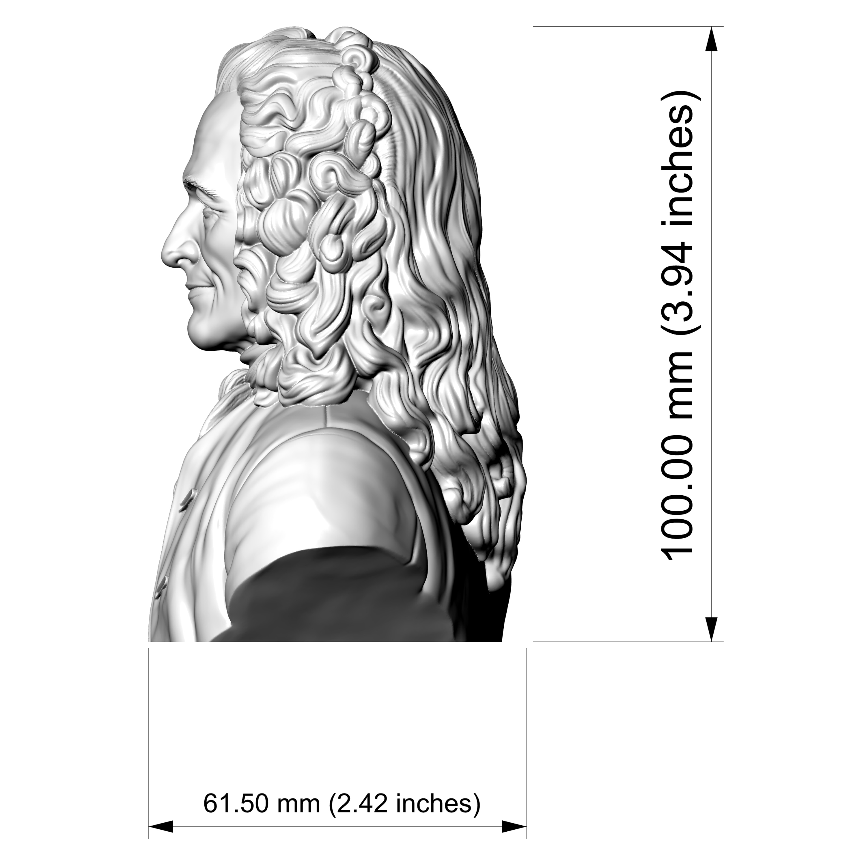 Voltaire François-Marie Arouet Bust 3D Printable 3D Model