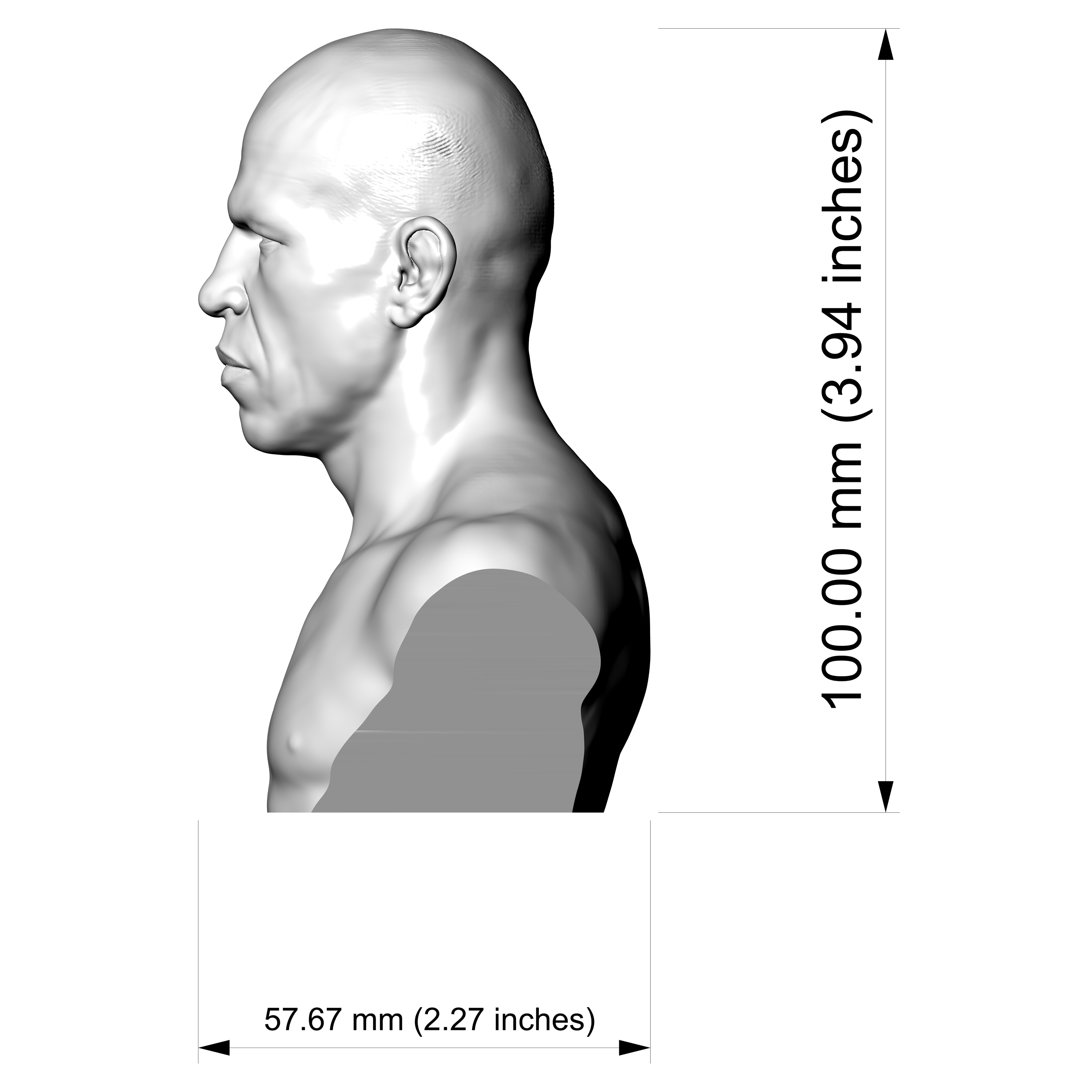 Wanderlei Silva 3D Printable Bust 3D Model